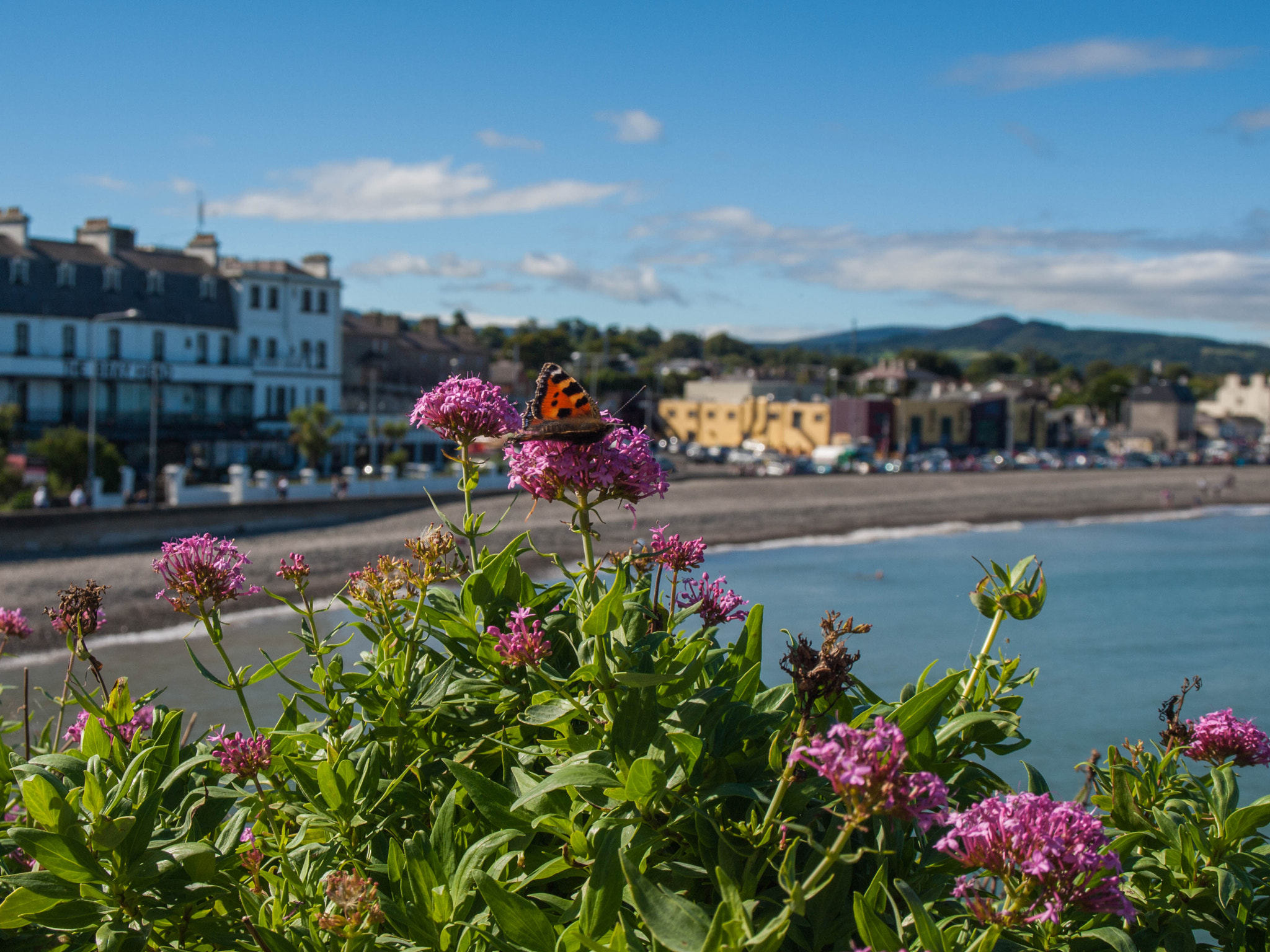 Olympus E-420 (EVOLT E-420) + OLYMPUS 14-42mm Lens sample photo. Bray-ireland- photography