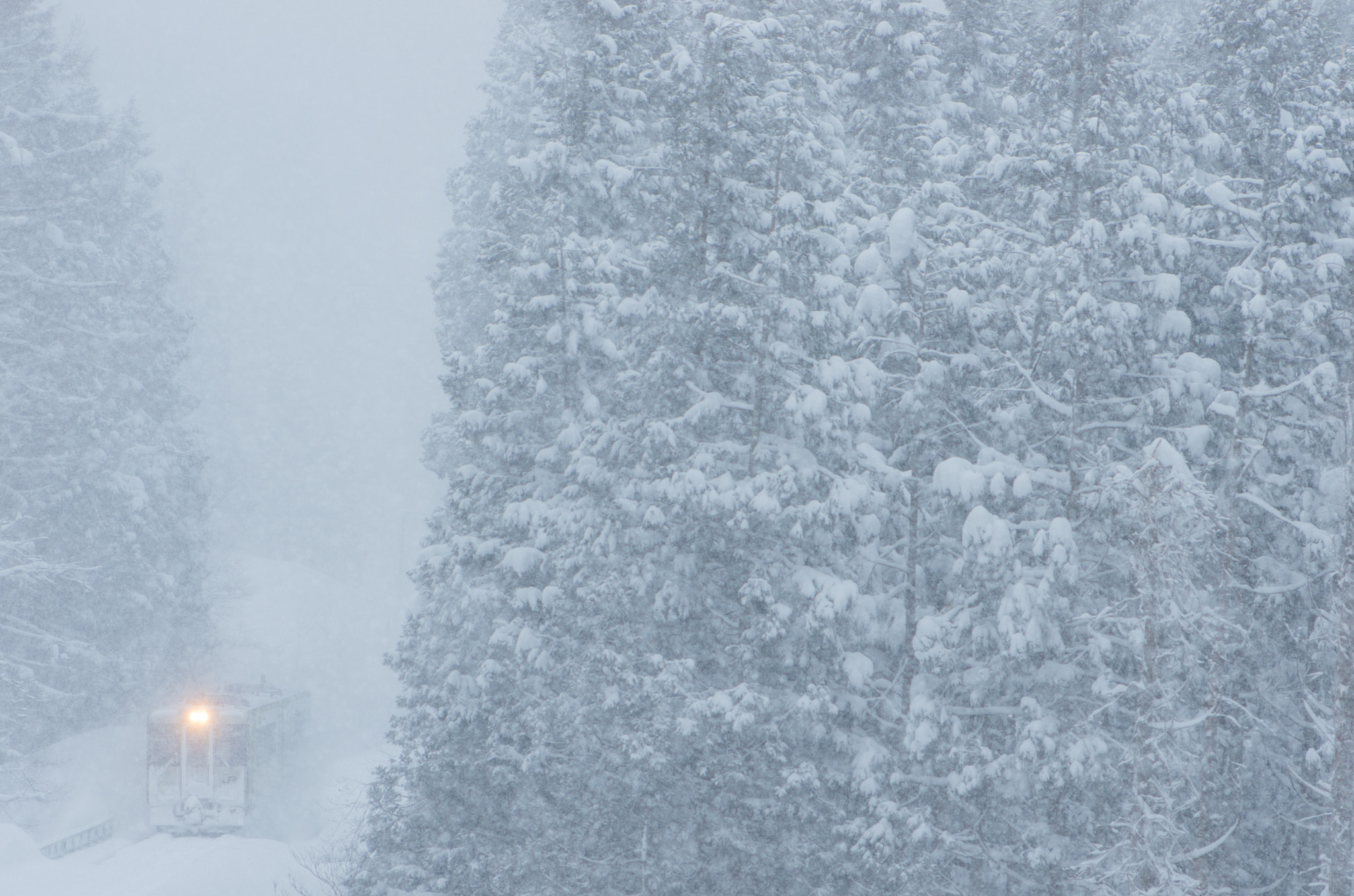 Pentax K-5 IIs + A Series Lens sample photo. Heavy snow photography