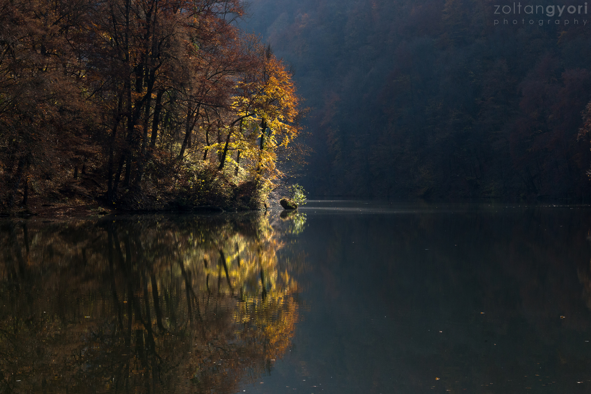 Sigma 100-300mm f/4 sample photo. Autumn lights photography