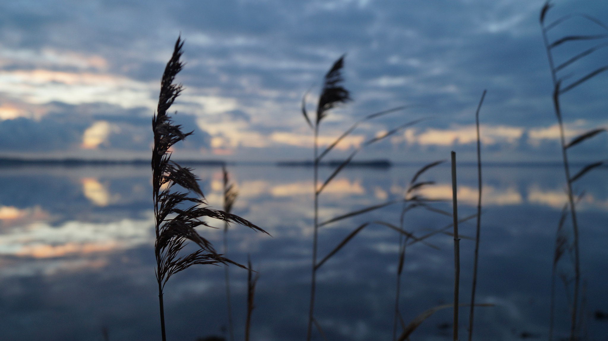 Sony DT 18-55mm F3.5-5.6 SAM II sample photo. Reflections photography