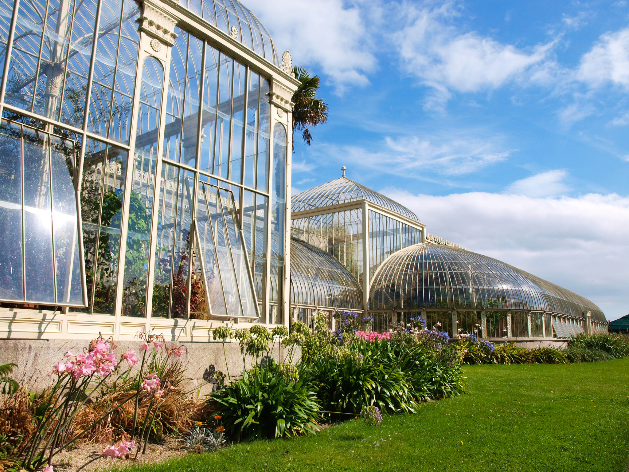 Olympus E-420 (EVOLT E-420) + OLYMPUS 14-42mm Lens sample photo. Botanic garden -dublin- photography