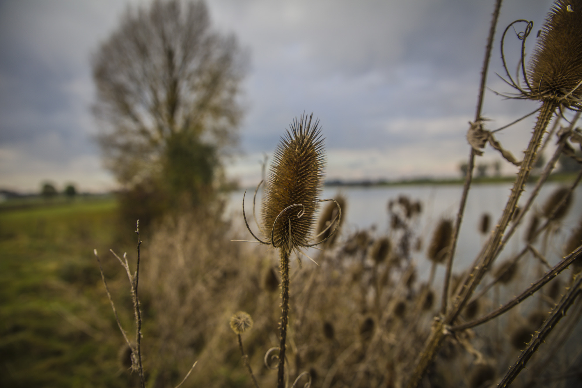 Canon EOS 5DS + Sigma 24-70mm F2.8 EX DG Macro sample photo. Trip down river photography
