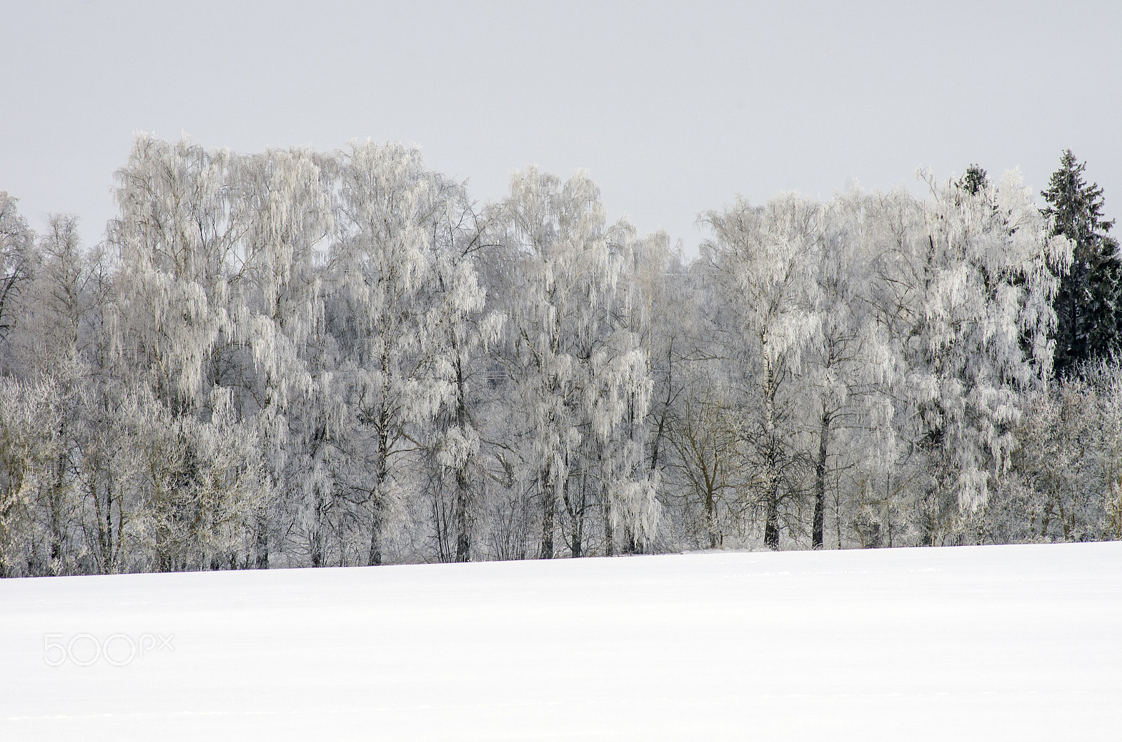 Pentax K-5 + Sigma sample photo. Frozen photography