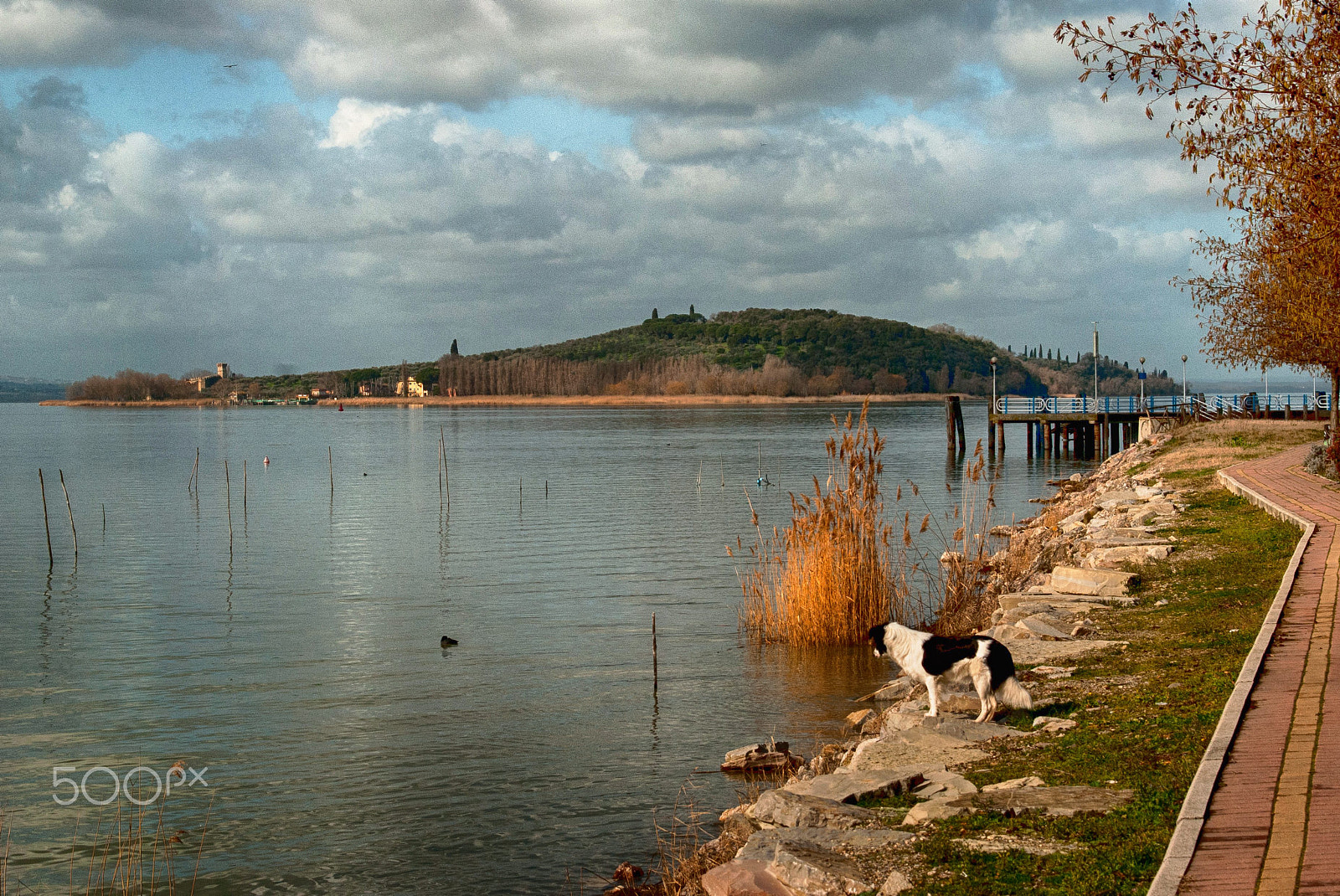 Sigma 28-200mm F3.5-5.6 Compact Aspherical Hyperzoom Macro sample photo. Nana' at  trasimeno lake... photography