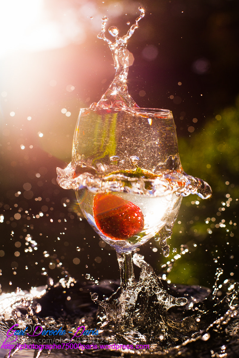 Canon EOS 6D sample photo. Photographe professionnel paris, photographe photography