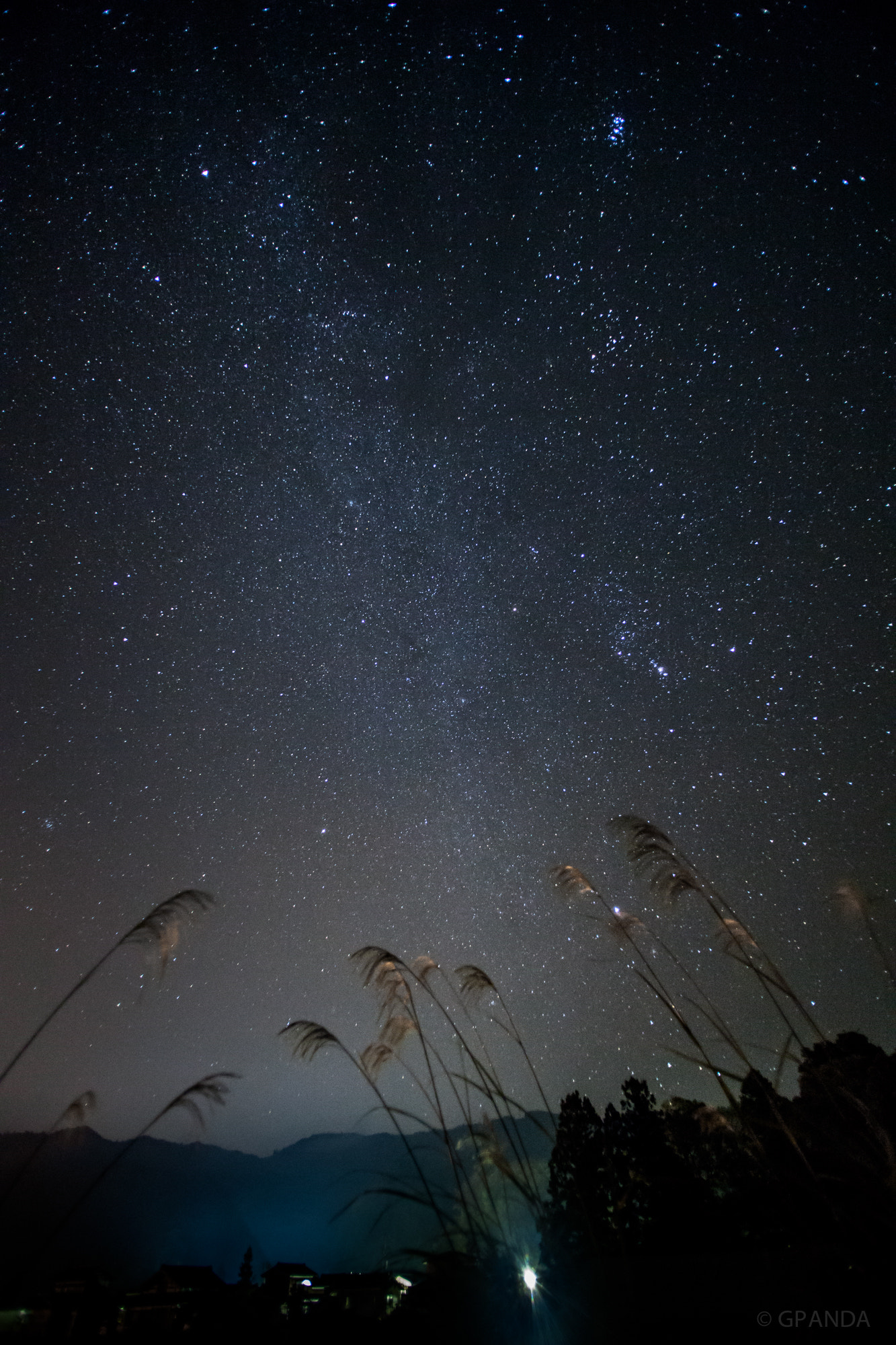 Canon EOS 5D Mark II sample photo. Night sky in late autumn photography