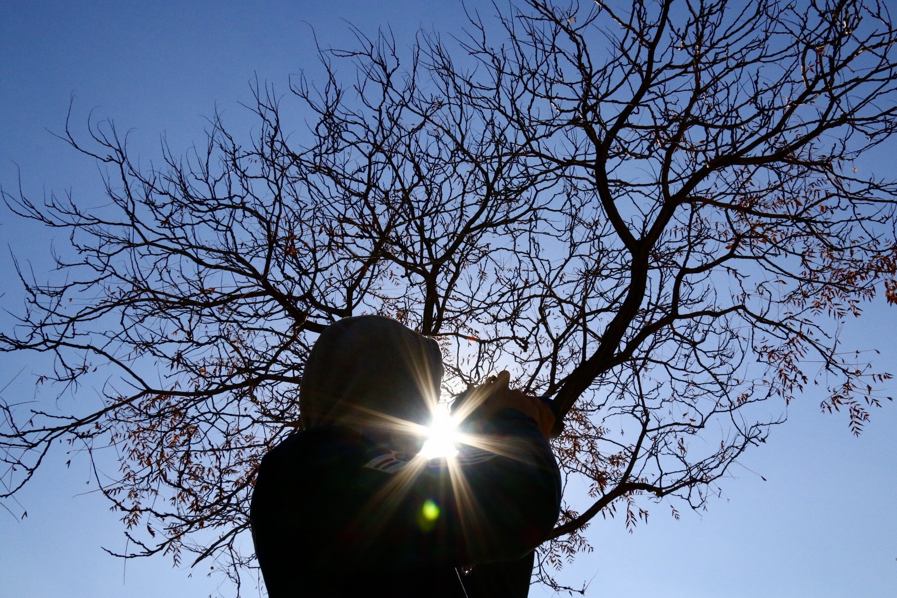 Canon EF-S 18-200mm F3.5-5.6 IS sample photo. Tree & photographer photography