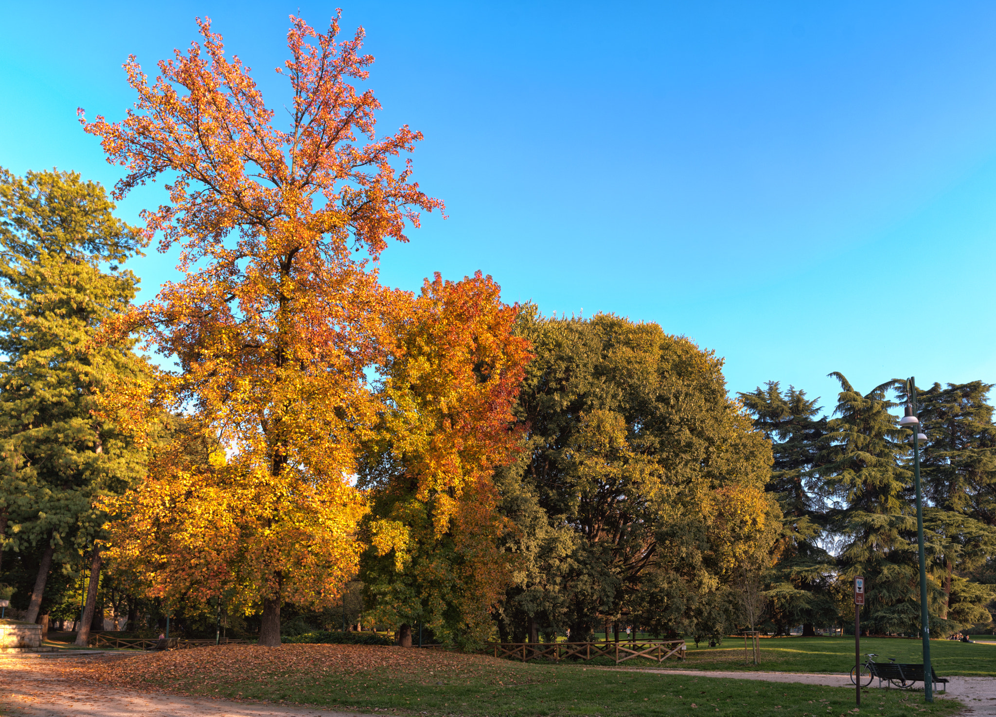Samyang 12mm F2.8 ED AS NCS Fisheye sample photo. Warm colors photography