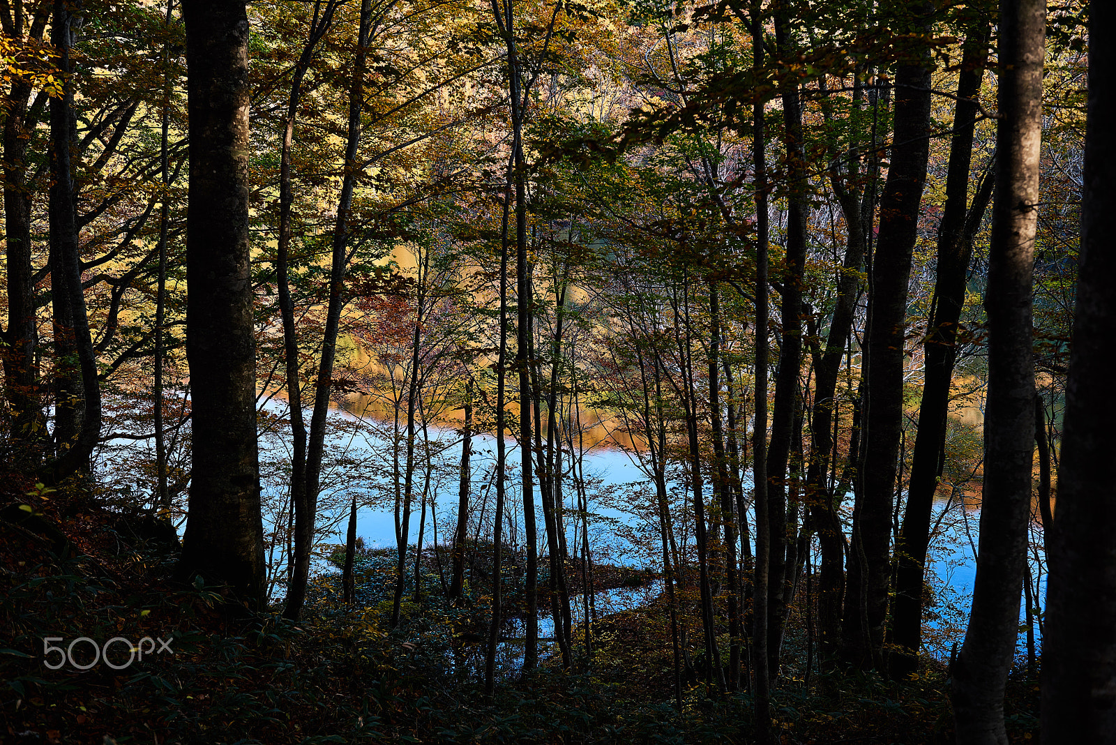 Nikon AF-S Nikkor 24-70mm F2.8G ED sample photo. Pale blue photography