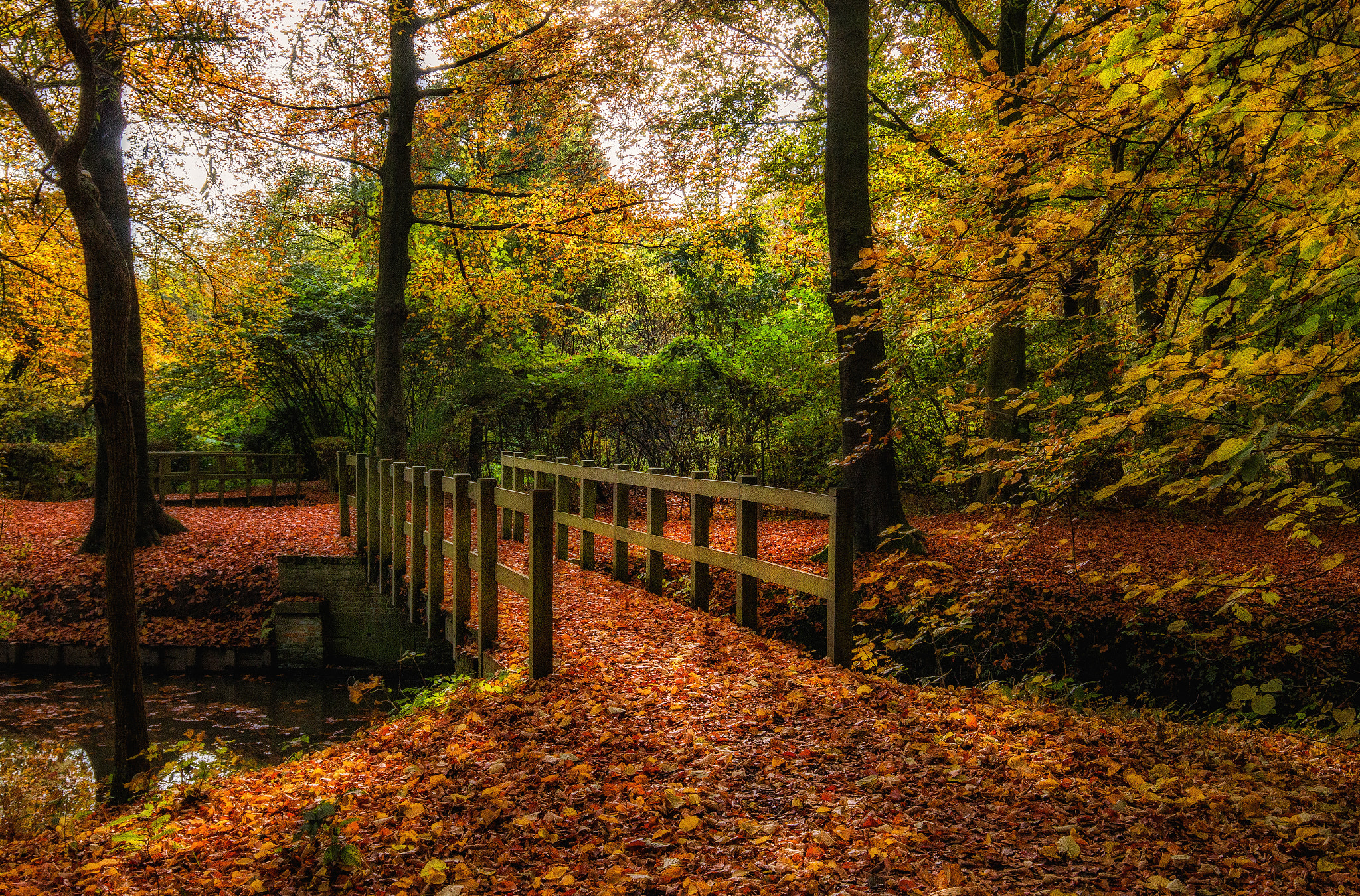 Canon EF 16-35mm F4L IS USM sample photo. Bridge in autumn photography