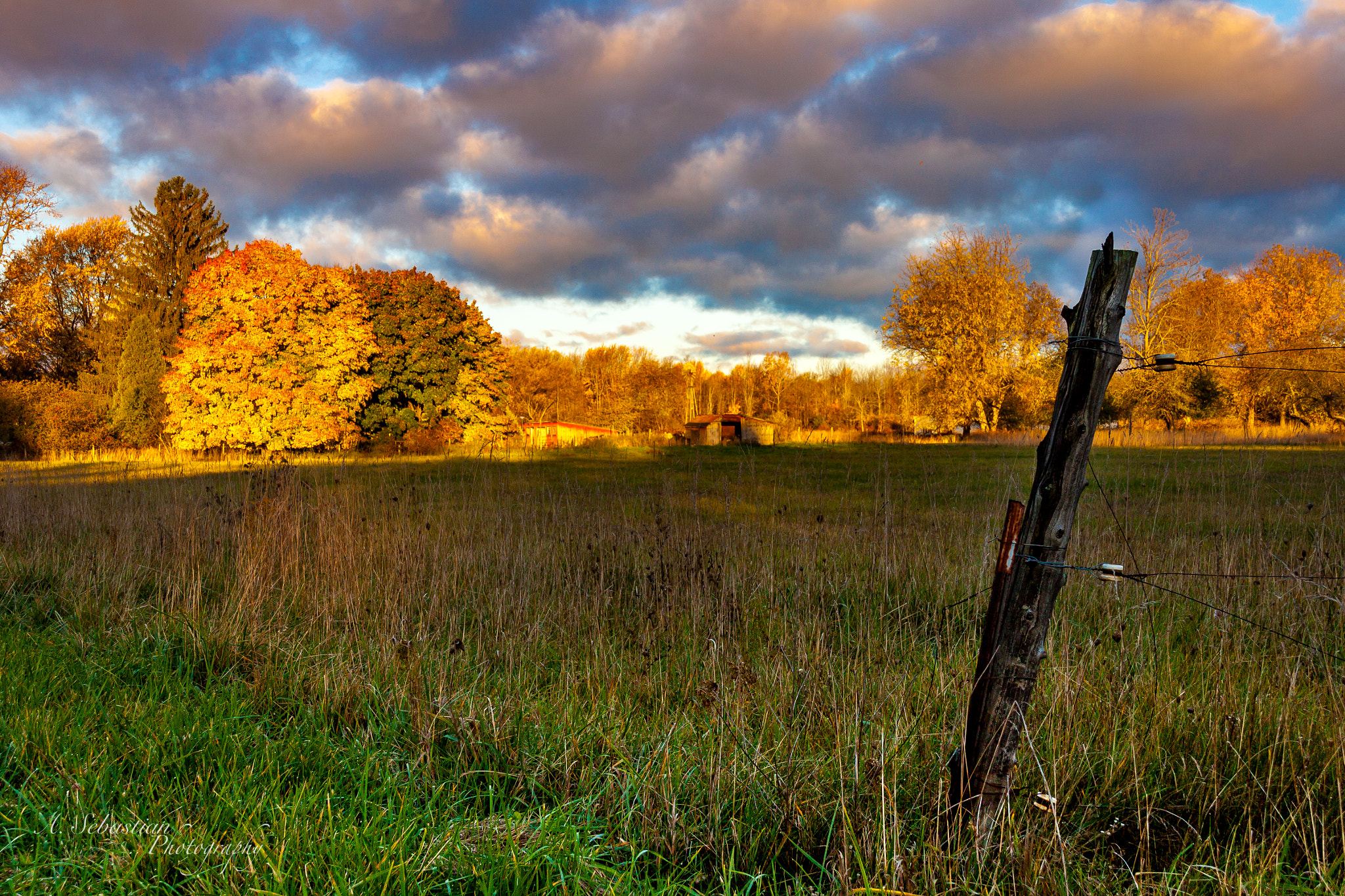 Sigma 18-250mm F3.5-6.3 DC OS HSM sample photo. Fall in western ny photography