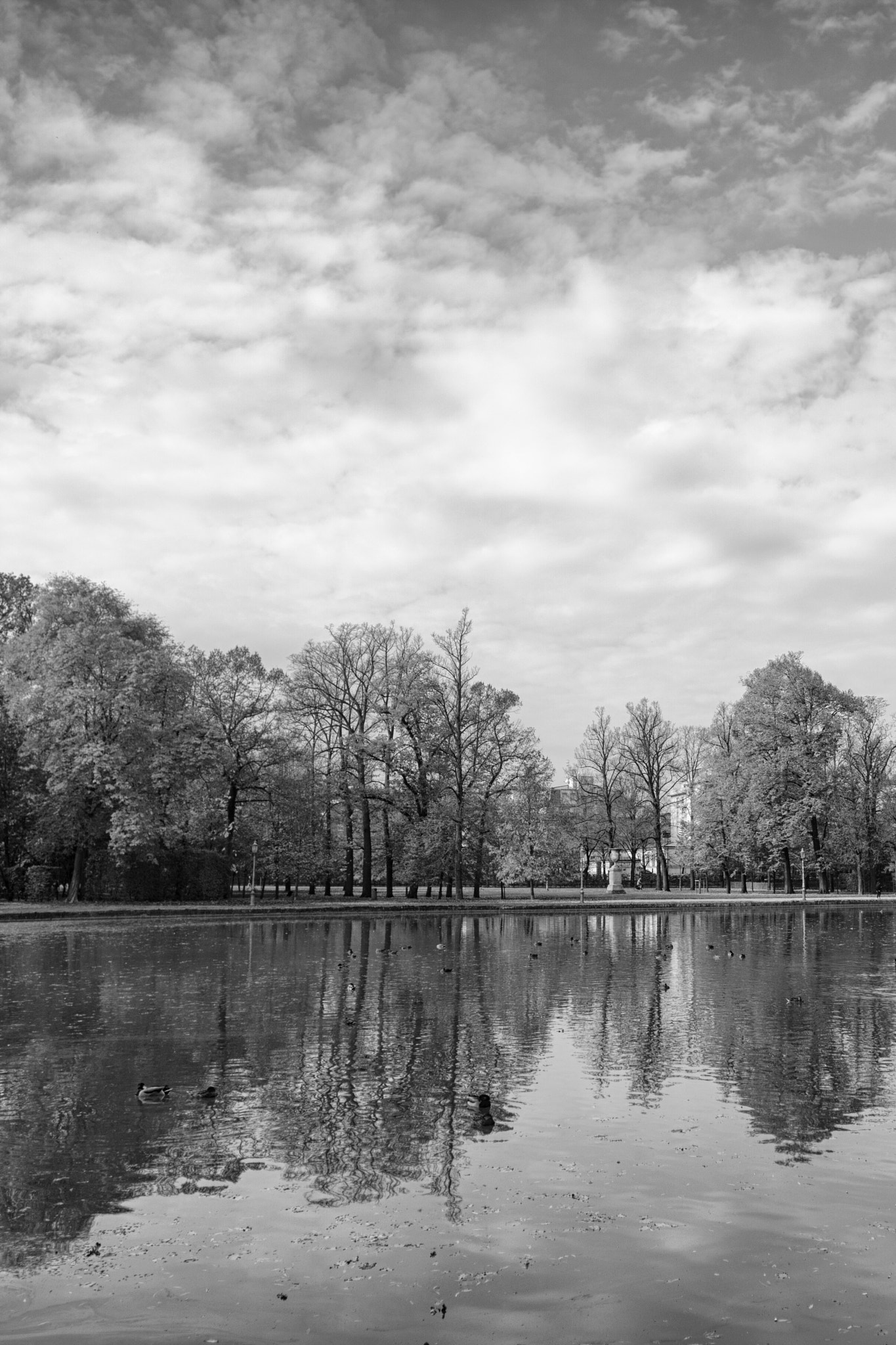 Canon EF 20mm F2.8 USM sample photo. Parco ducale photography