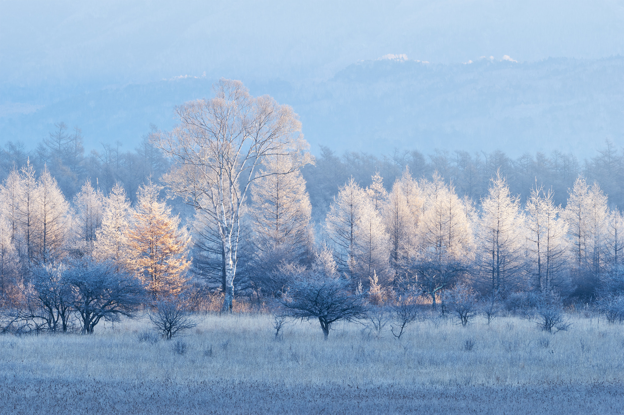 Sony 70-400mm F4-5.6 G SSM II sample photo. Virgin hard rime photography