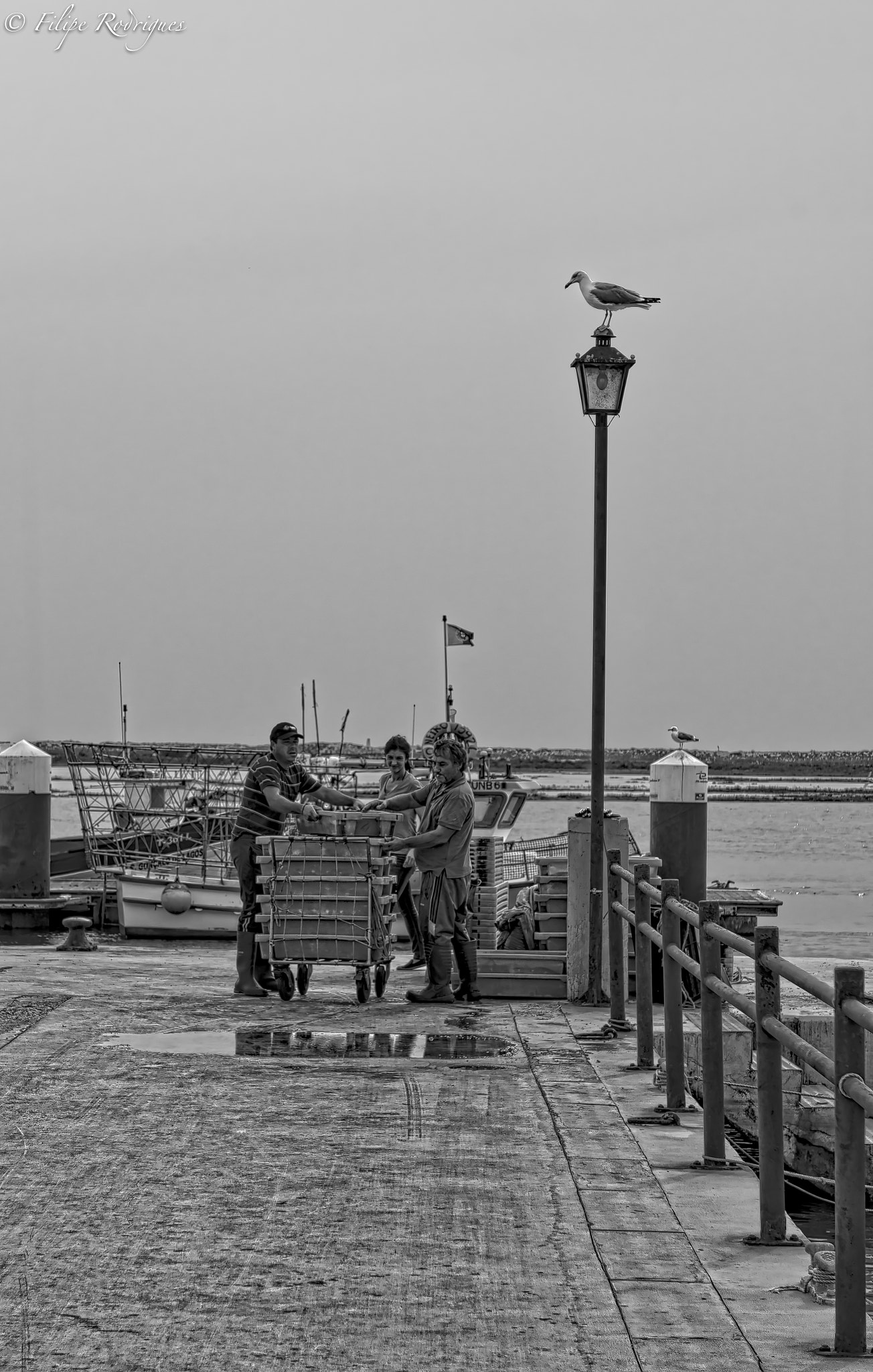 Nikon AF-S Nikkor 28-70mm F2.8 ED-IF sample photo. The fisherwoman and fishermen are back ... photography