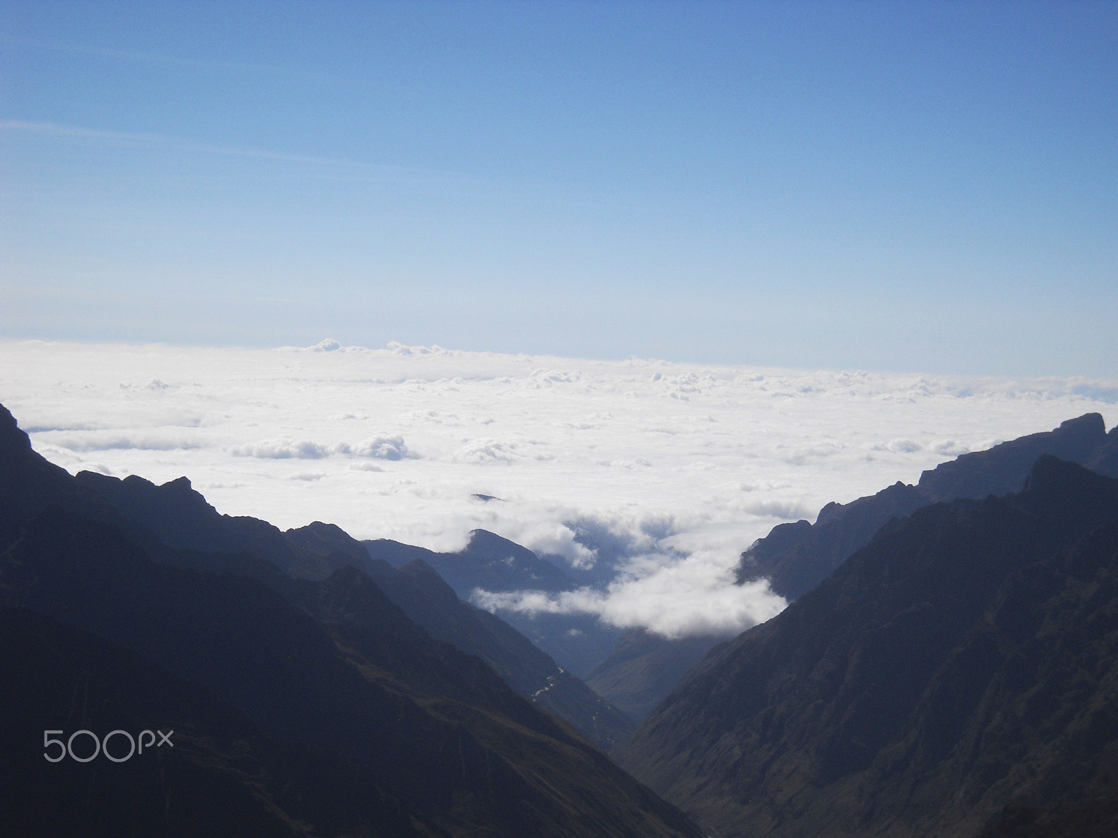 Nikon Coolpix L20 sample photo. De la cumbre a la selva. photography