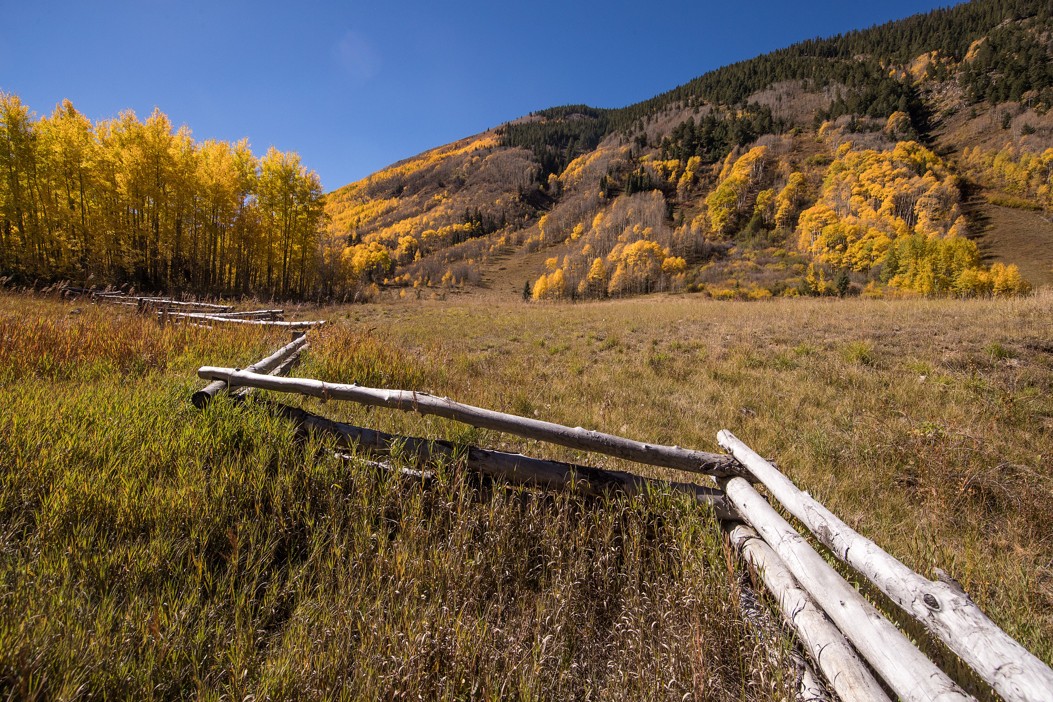 Canon EF 11-24mm F4L USM sample photo. Rustic fence photography