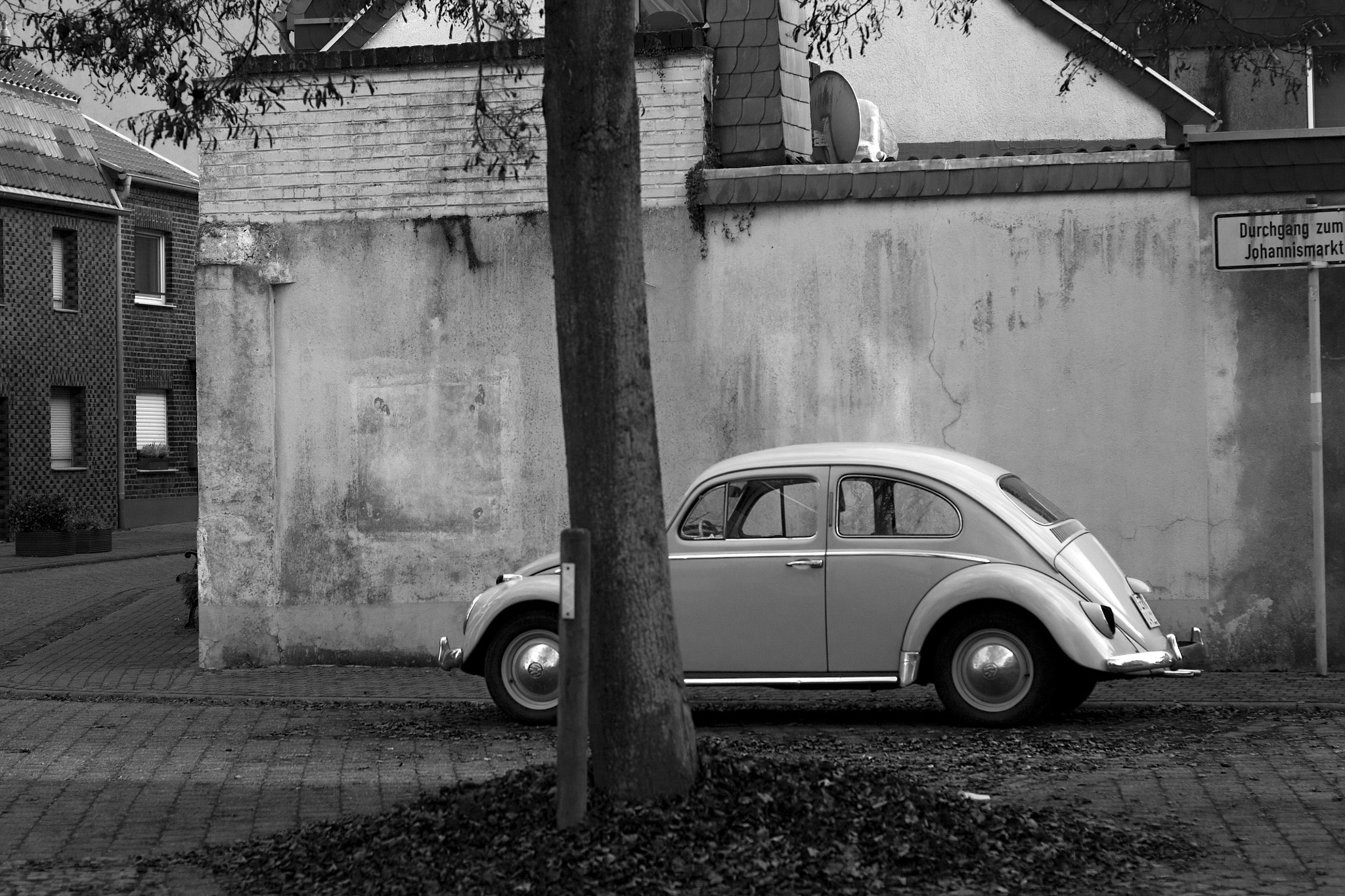 Canon EOS 450D (EOS Rebel XSi / EOS Kiss X2) + Canon EF 50mm F1.8 II sample photo. Bug photography