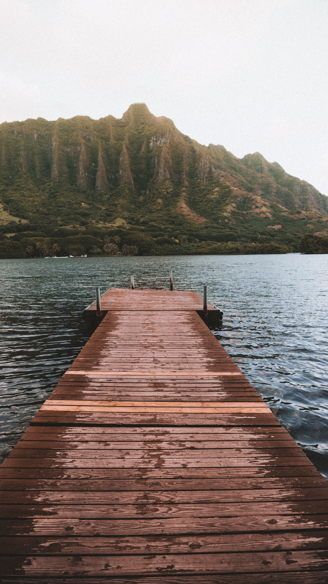Sony a7R II + Canon EF 24-105mm F4L IS USM sample photo. Dock in paradise photography