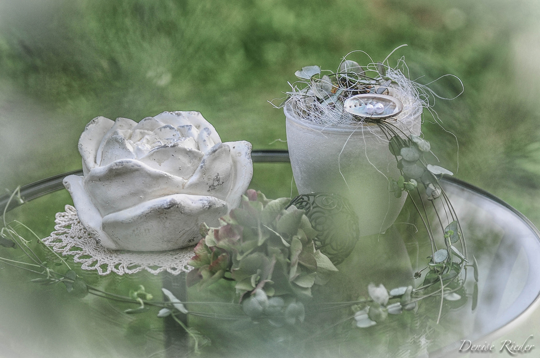 Nikon D300S sample photo. Rose photography