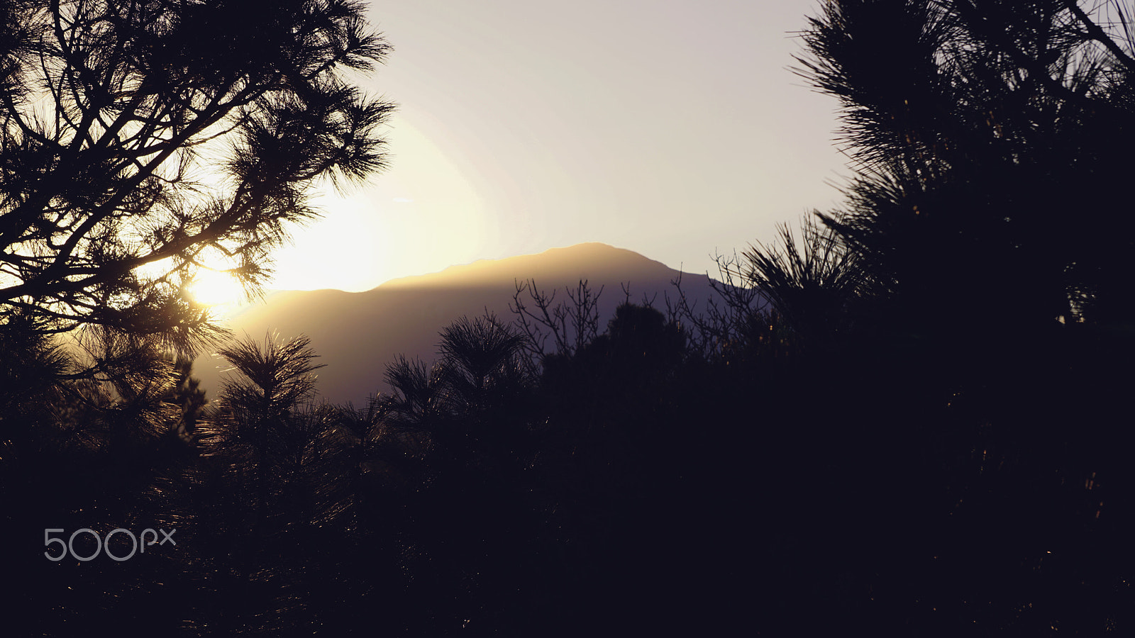 Sony a5100 sample photo. Peak golden hour photography