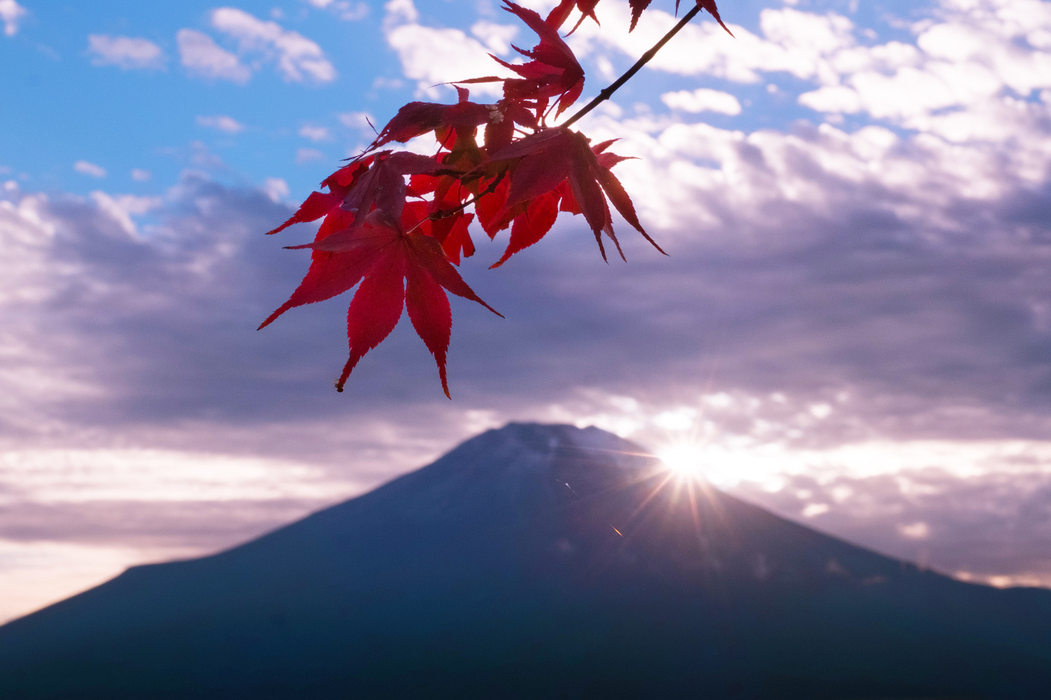 Fujifilm X-M1 + Fujifilm XF 35mm F1.4 R sample photo. Autumn leaves and fuji photography