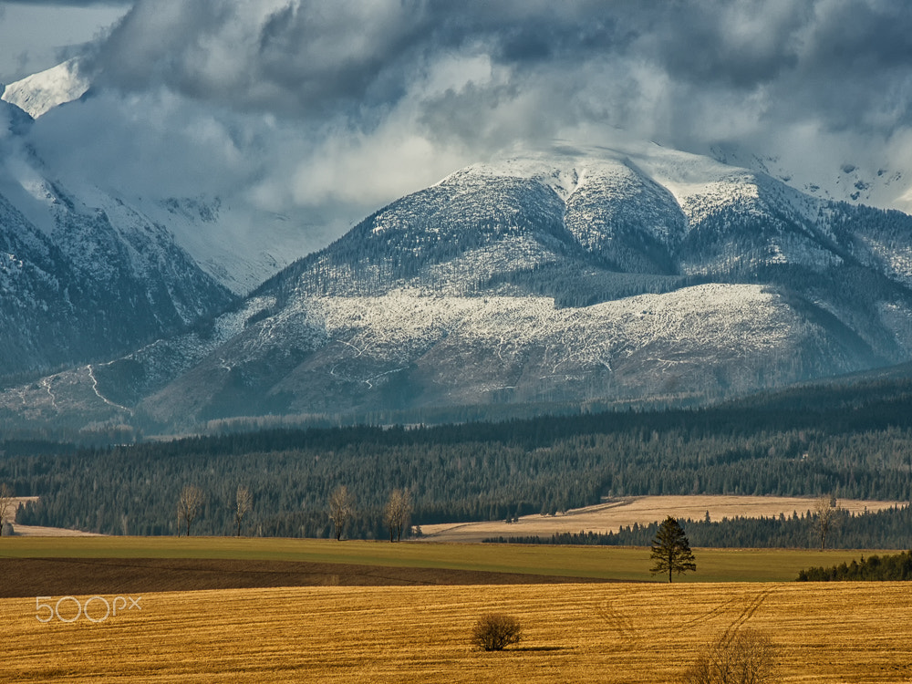 Pentax K-5 II sample photo. Between heaven and earth photography