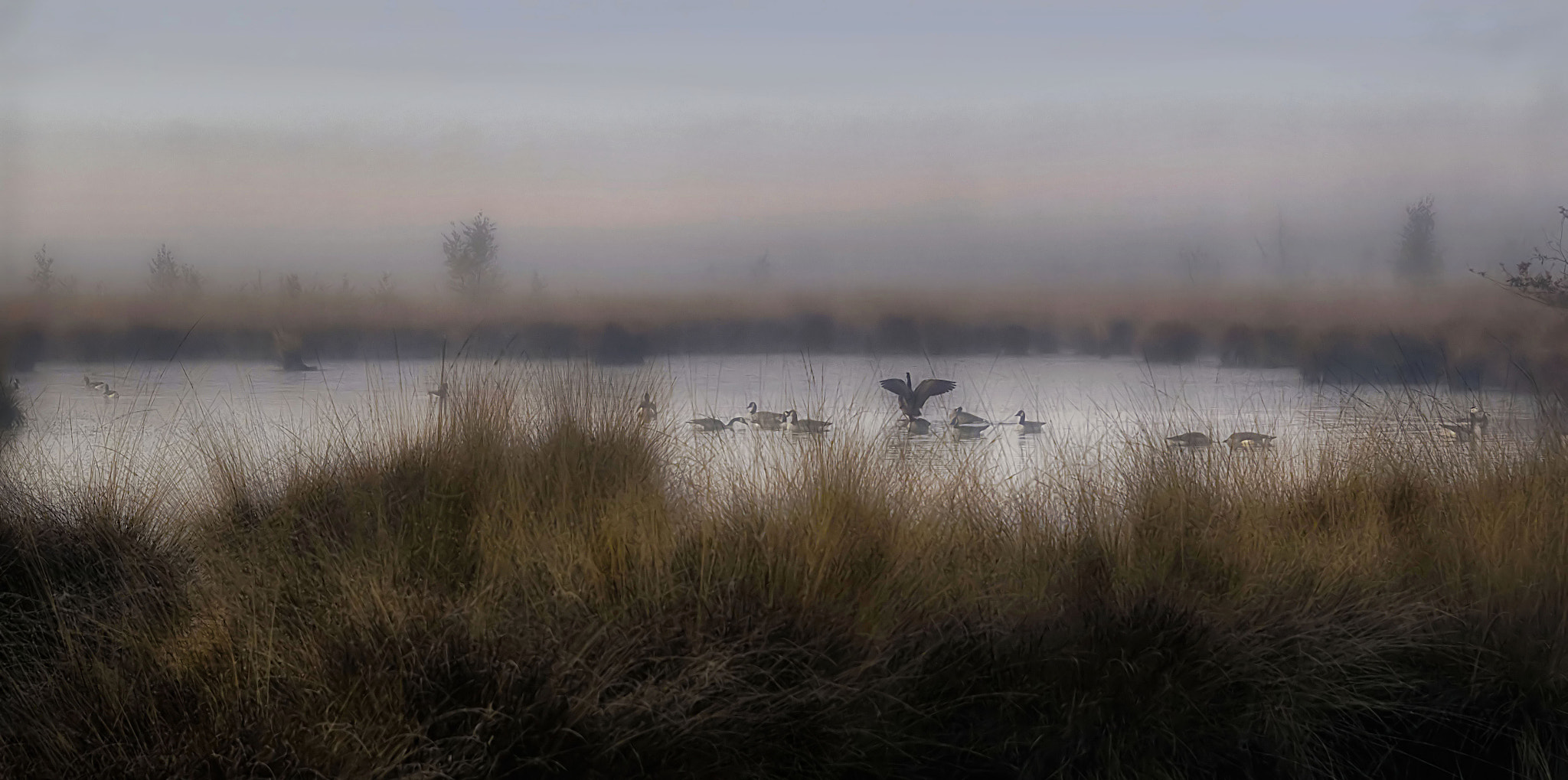 EF28-70mm f/2.8L USM sample photo. Sunrise over the moor photography