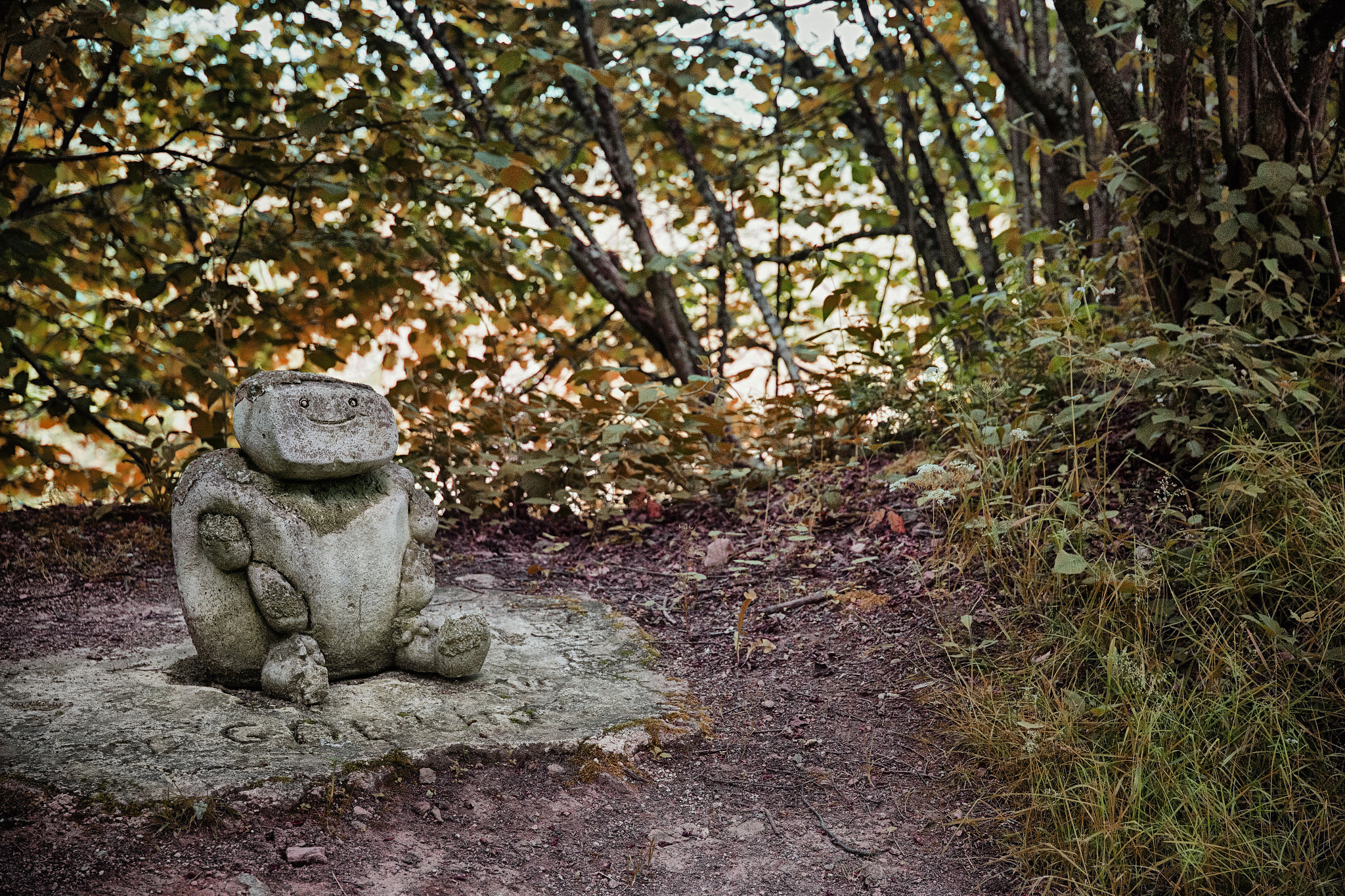 Sigma 24-105mm f/4 DG OS HSM | A sample photo. The guardian photography
