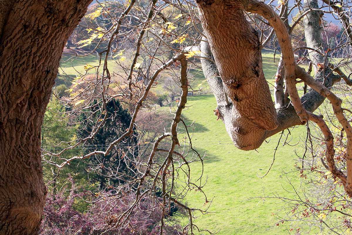 Canon EF 70-200mm F2.8L IS USM sample photo. Wales november 2016 photography