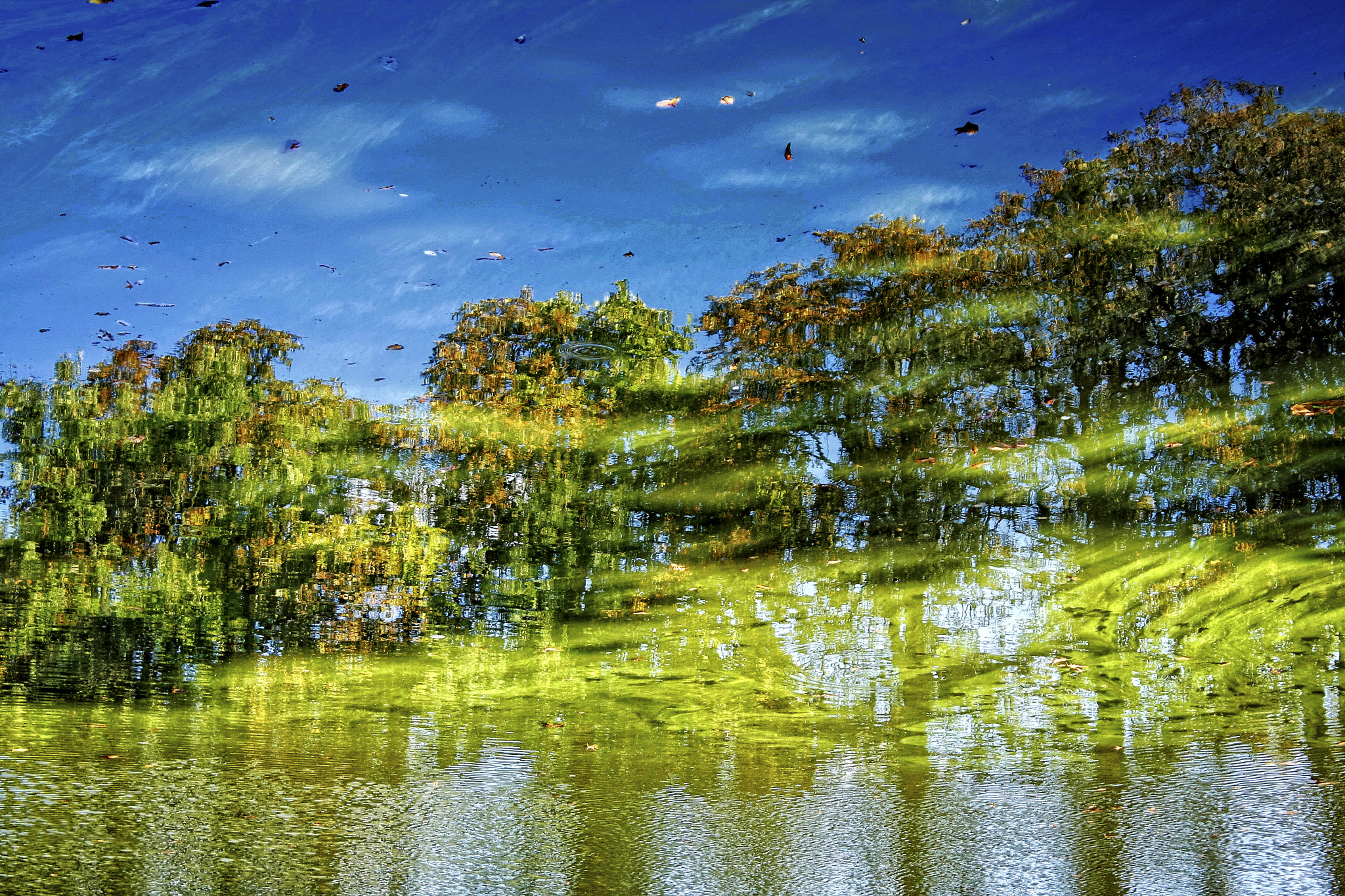Canon EOS 40D sample photo. Upside down photography