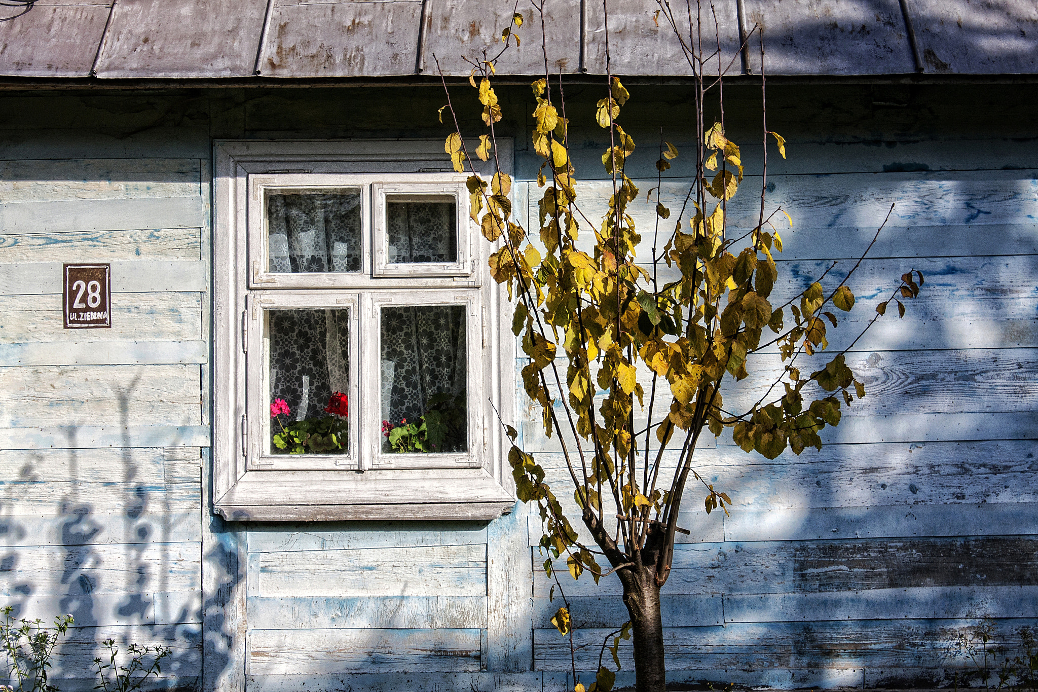 Canon EOS 40D sample photo. "green street 28" photography
