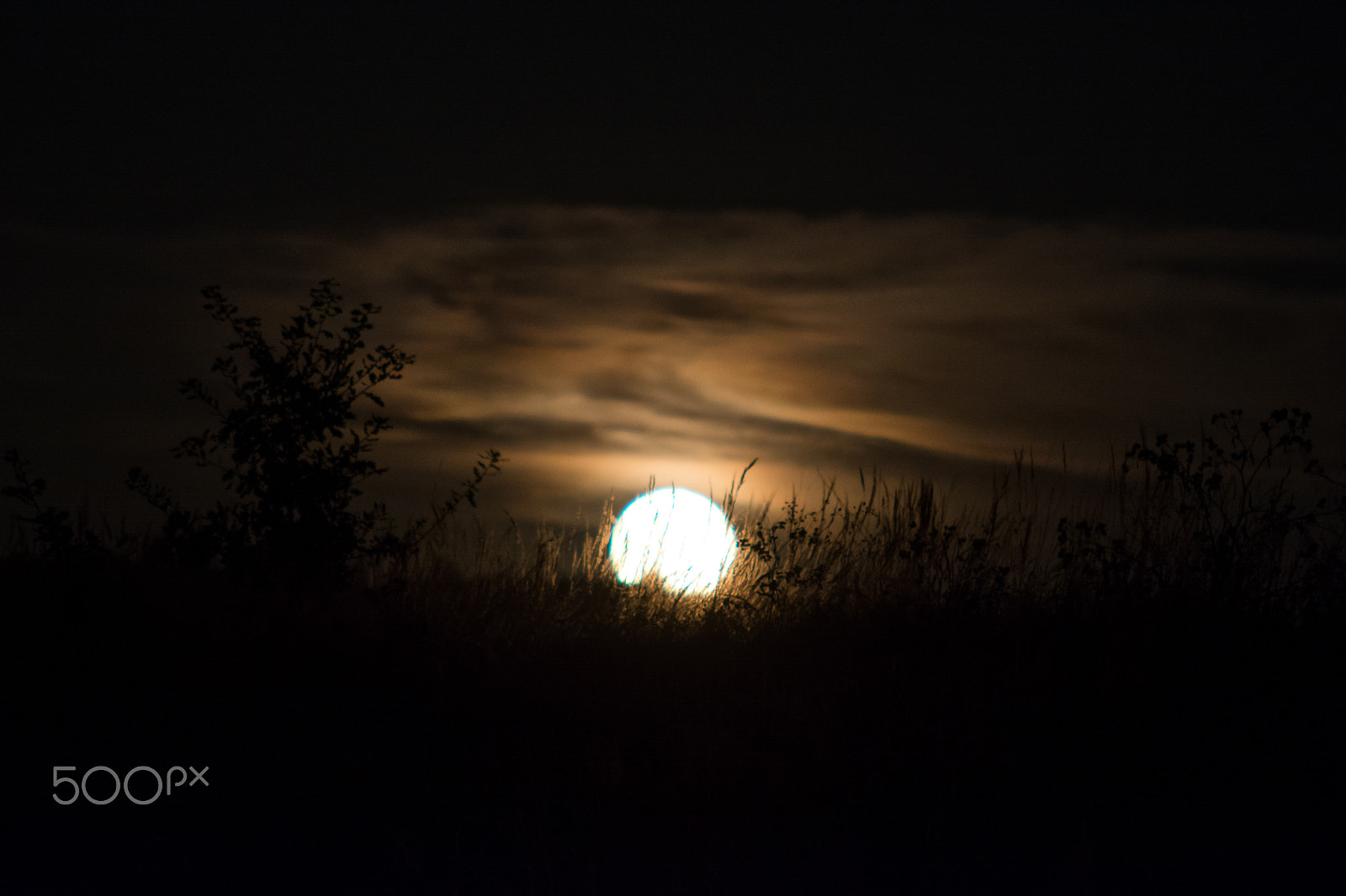 Nikon D7100 + AF Nikkor 70-210mm f/4-5.6 sample photo. Moon in the grass photography