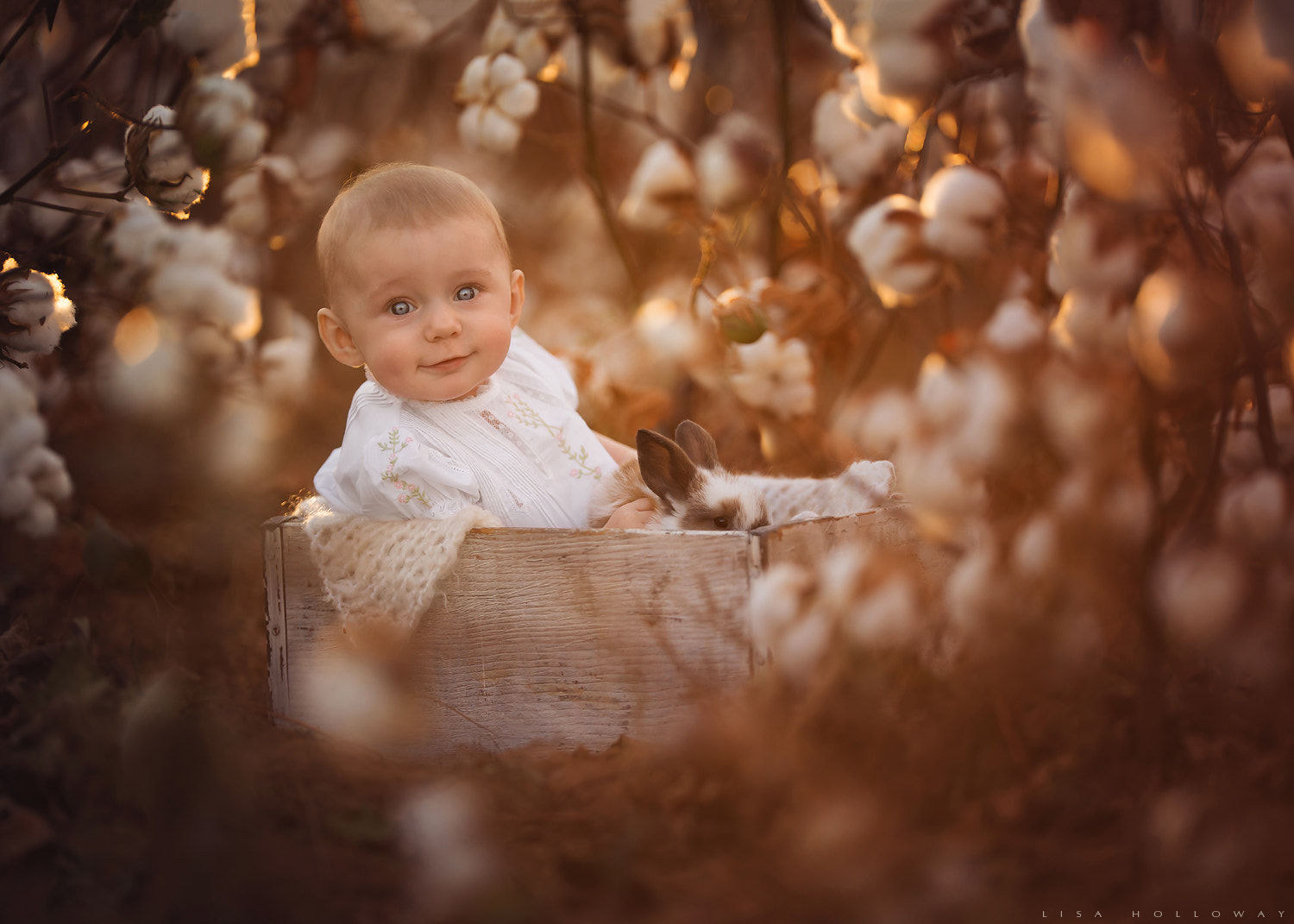 Canon EF 200mm F2L IS USM sample photo. Golden warmth photography