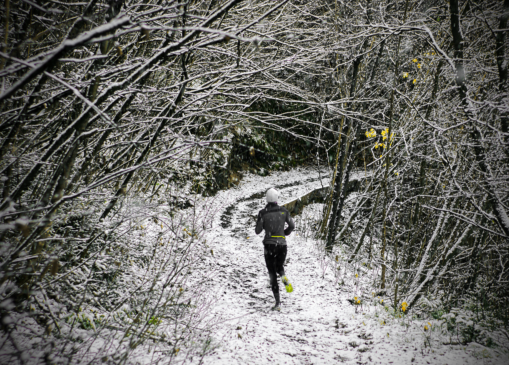 Pentax K-3 + Pentax smc FA 50mm F1.4 sample photo. Premieres neiges photography