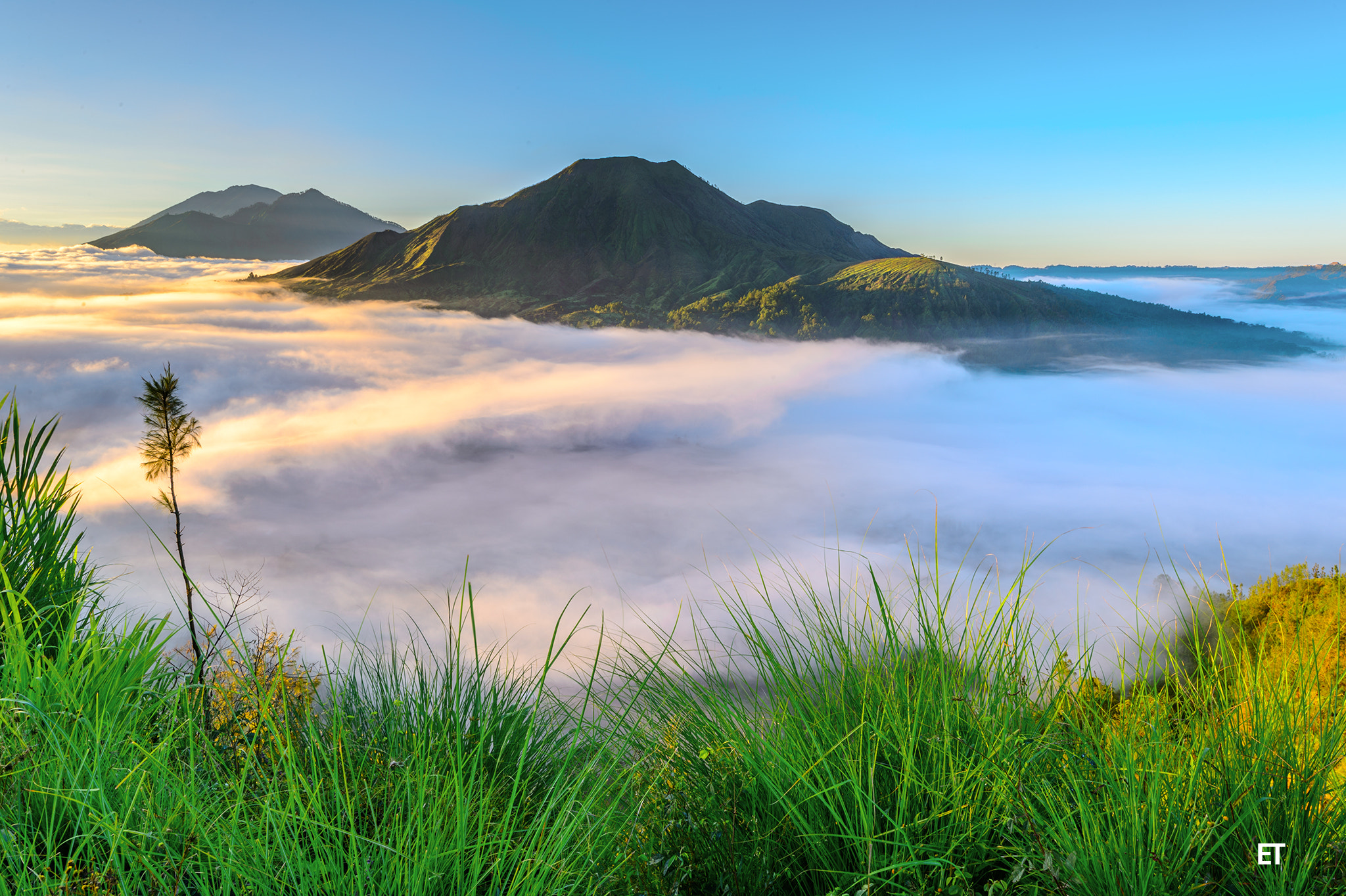 Nikon Df sample photo. Pinggan hill photography