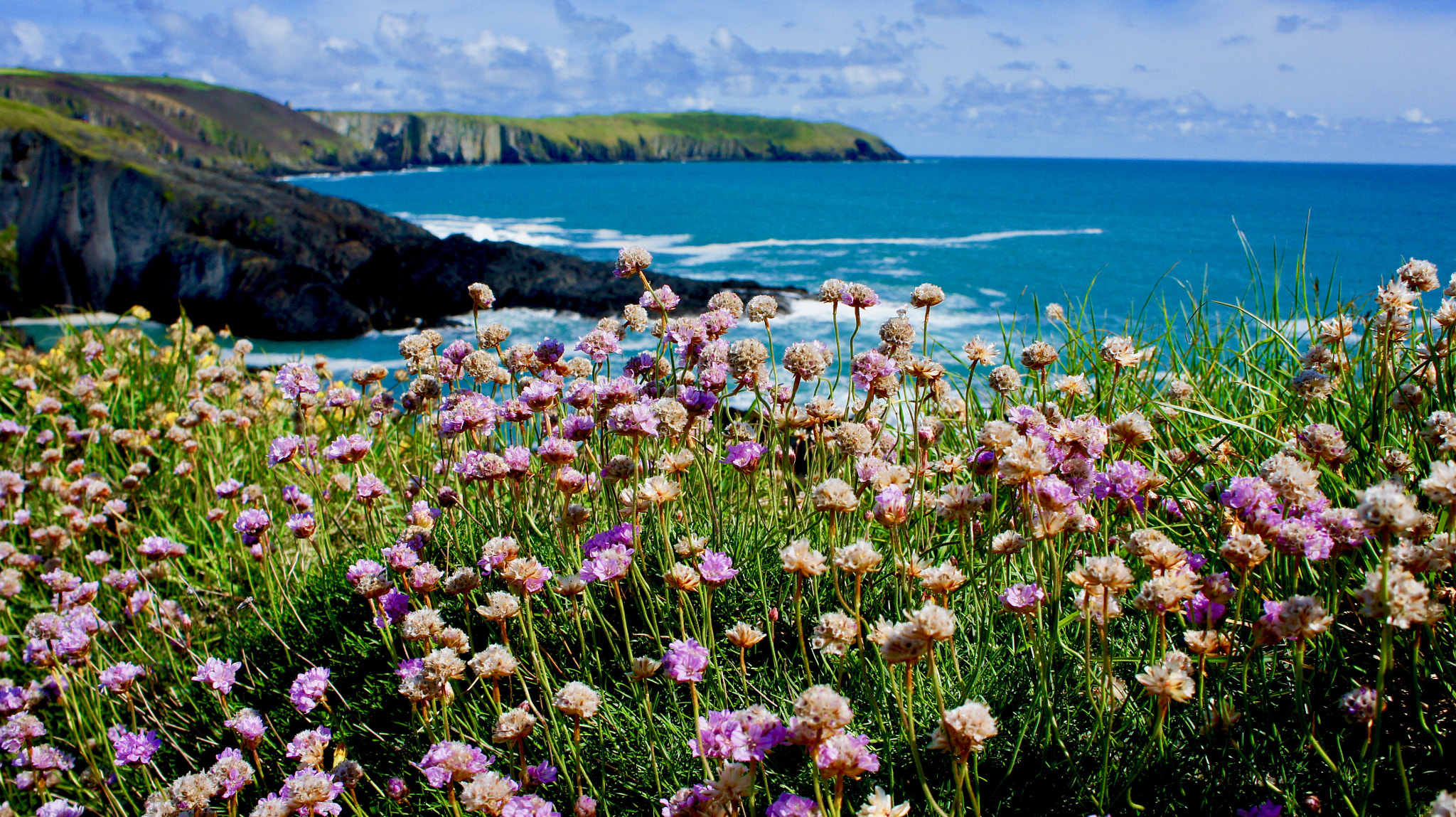 Sony Alpha NEX-5 + Tamron 18-200mm F3.5-6.3 Di III VC sample photo. Old head of kinsale photography