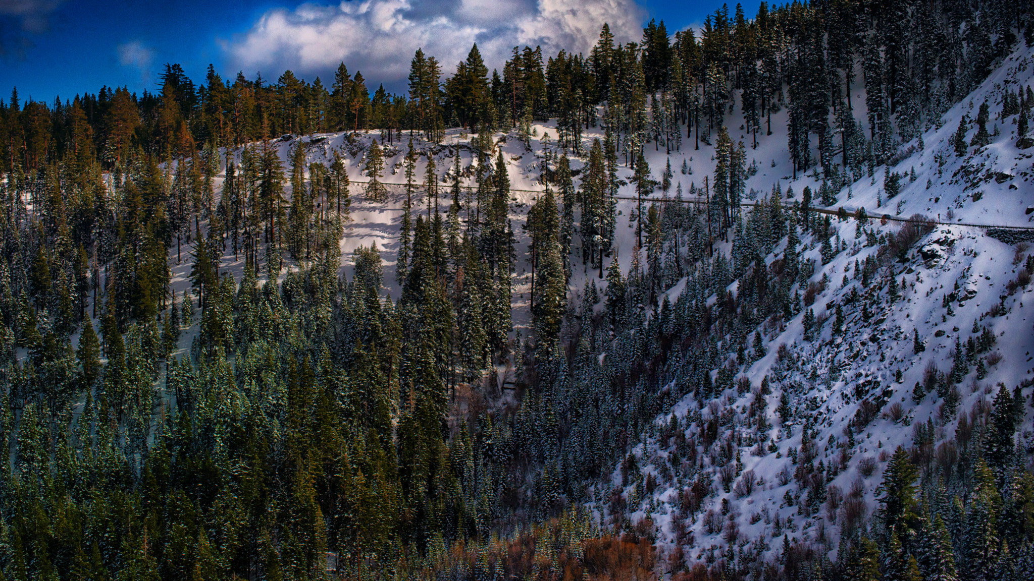 Nikon D800 sample photo. Serene photography