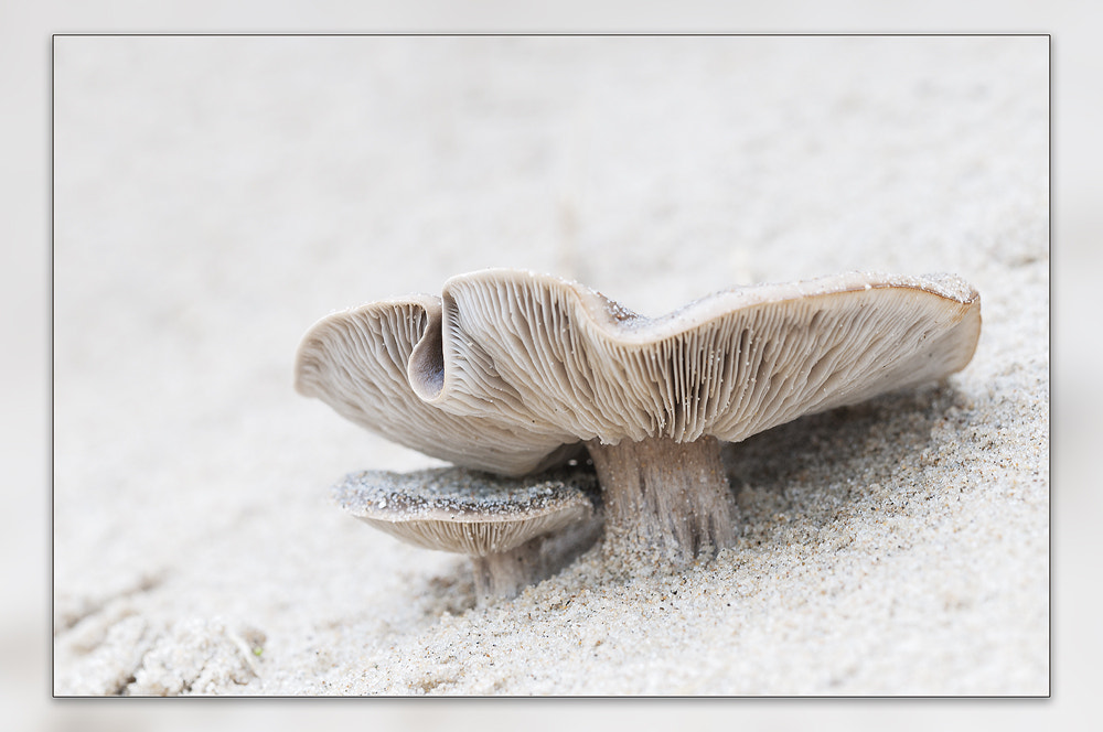 Nikon D300 + Sigma 150mm F2.8 EX DG OS Macro HSM sample photo. Mother and child photography