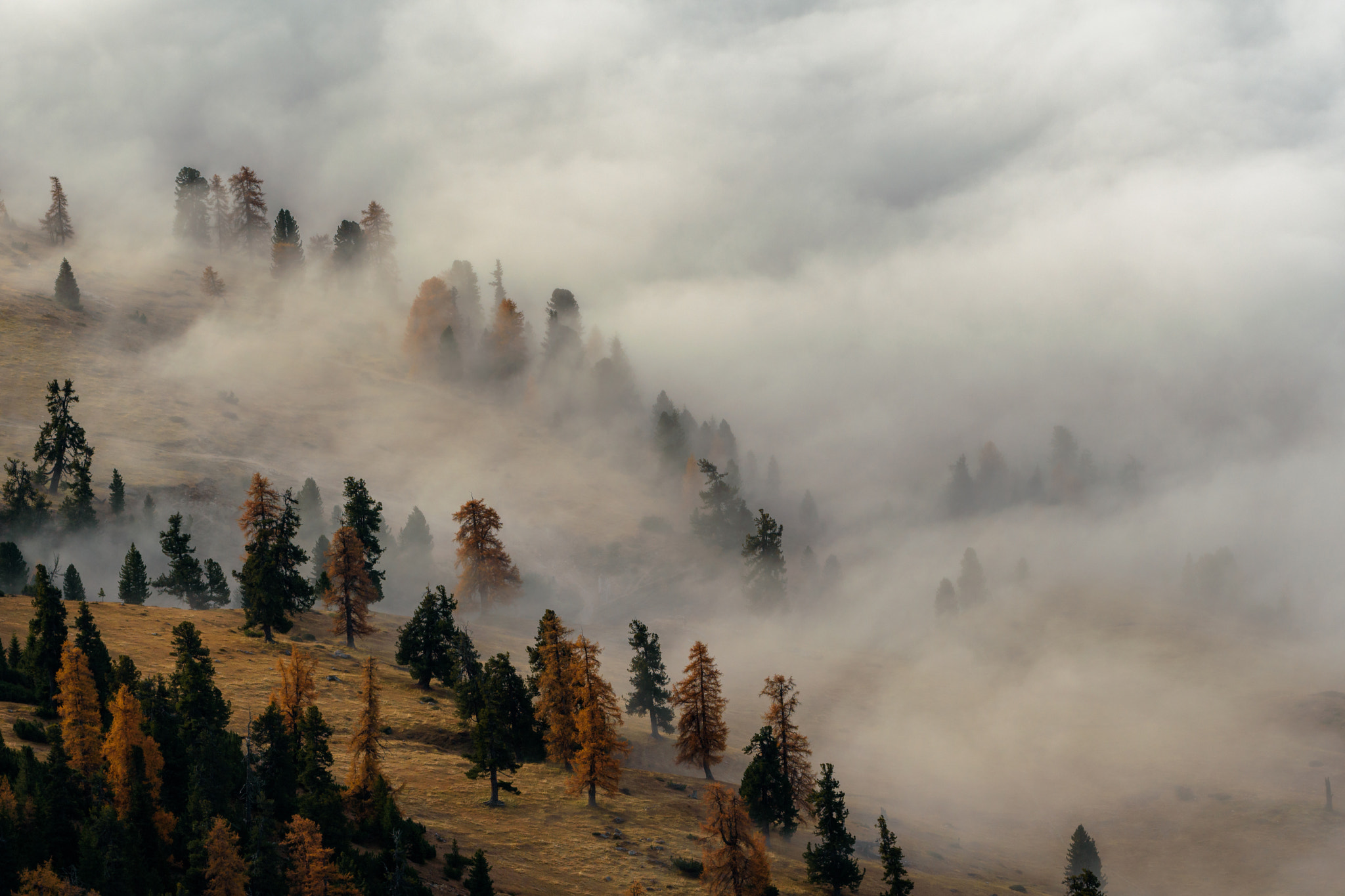 Nikon AF-S Nikkor 70-200mm F4G ED VR sample photo. Foggy morning in the dolomites photography