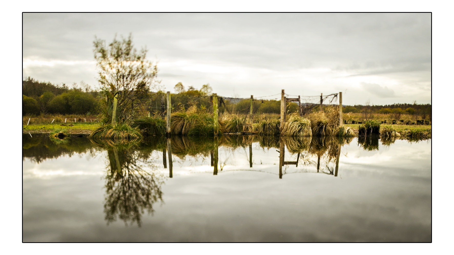 Canon EOS 6D + Canon TS-E 24mm f/3.5L sample photo. Bayou photography