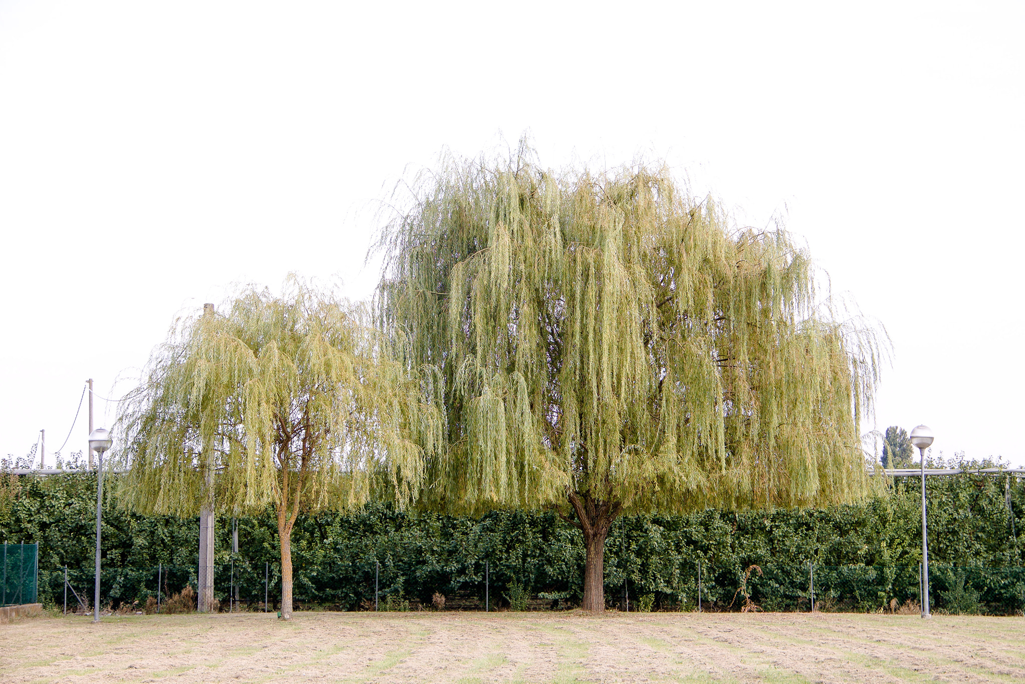 Canon EF-S 18-200mm F3.5-5.6 IS sample photo. Suburbano photography