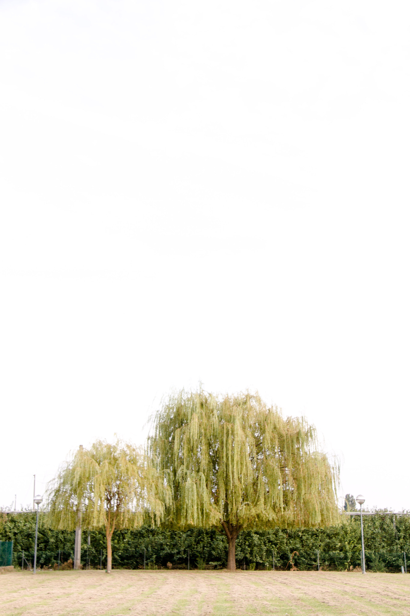 Canon EF-S 18-200mm F3.5-5.6 IS sample photo. Suburbano photography