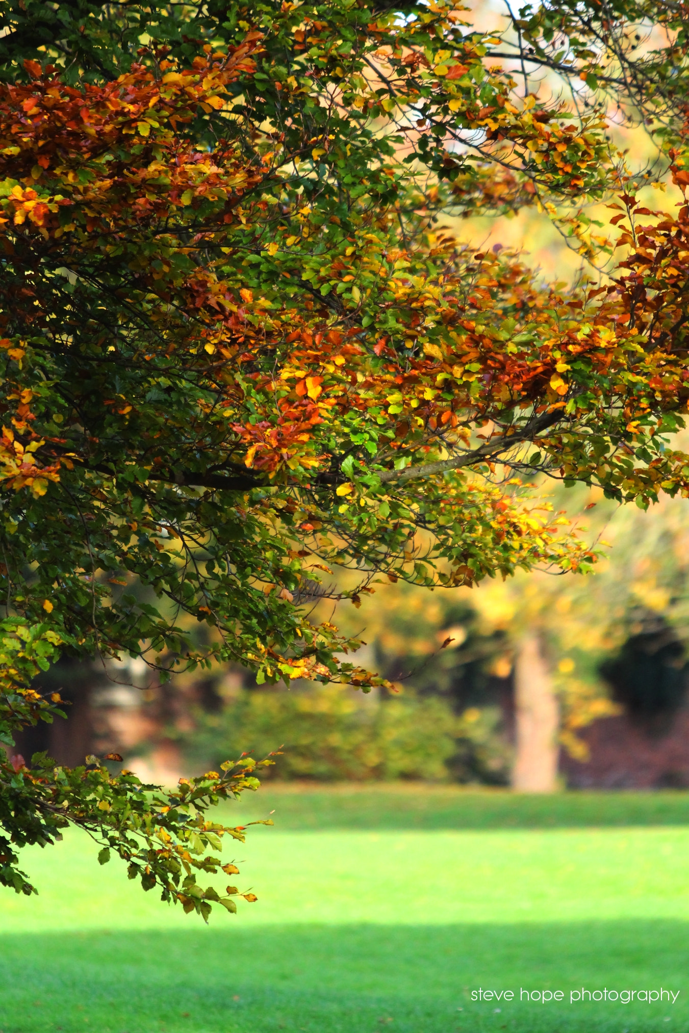 Canon EF 70-200mm F2.8L USM sample photo. Baysgart park - barton upon humber photography