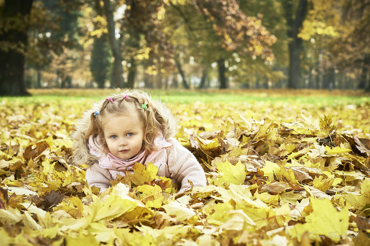 Nikon AF Nikkor 85mm F1.8D sample photo. Child in autumn colors photography