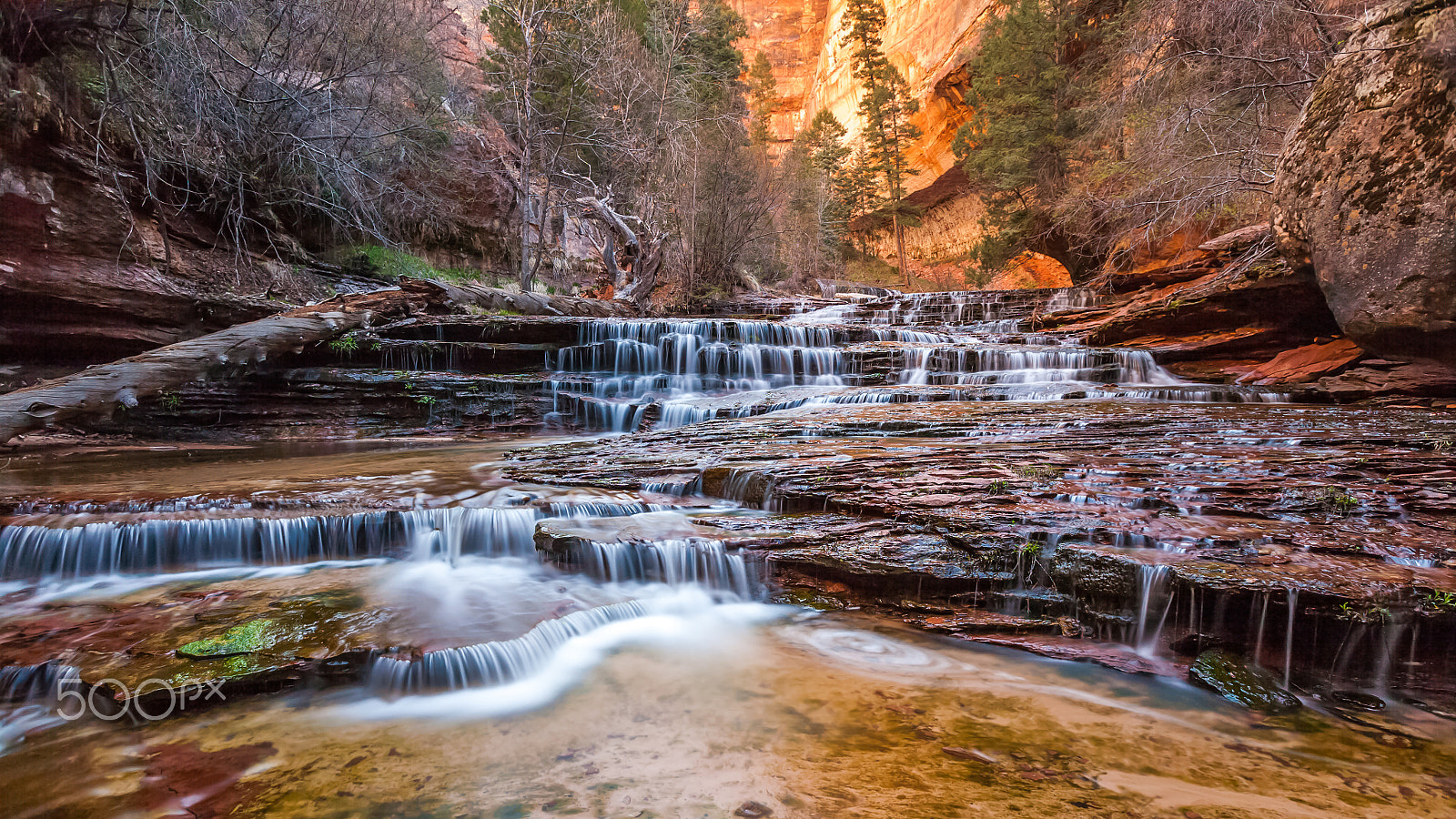 Canon EF 16-35mm F2.8L USM sample photo. "zion" national park photography