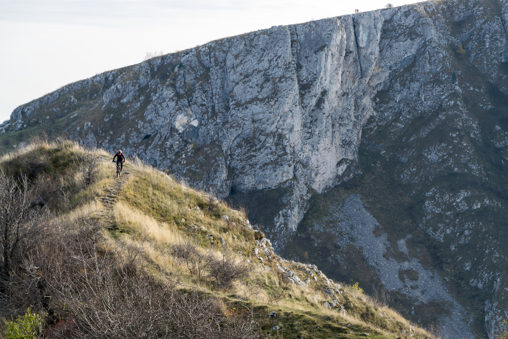 Sigma 17-70mm F2.8-4 DC Macro OS HSM | C sample photo. Mtb photography