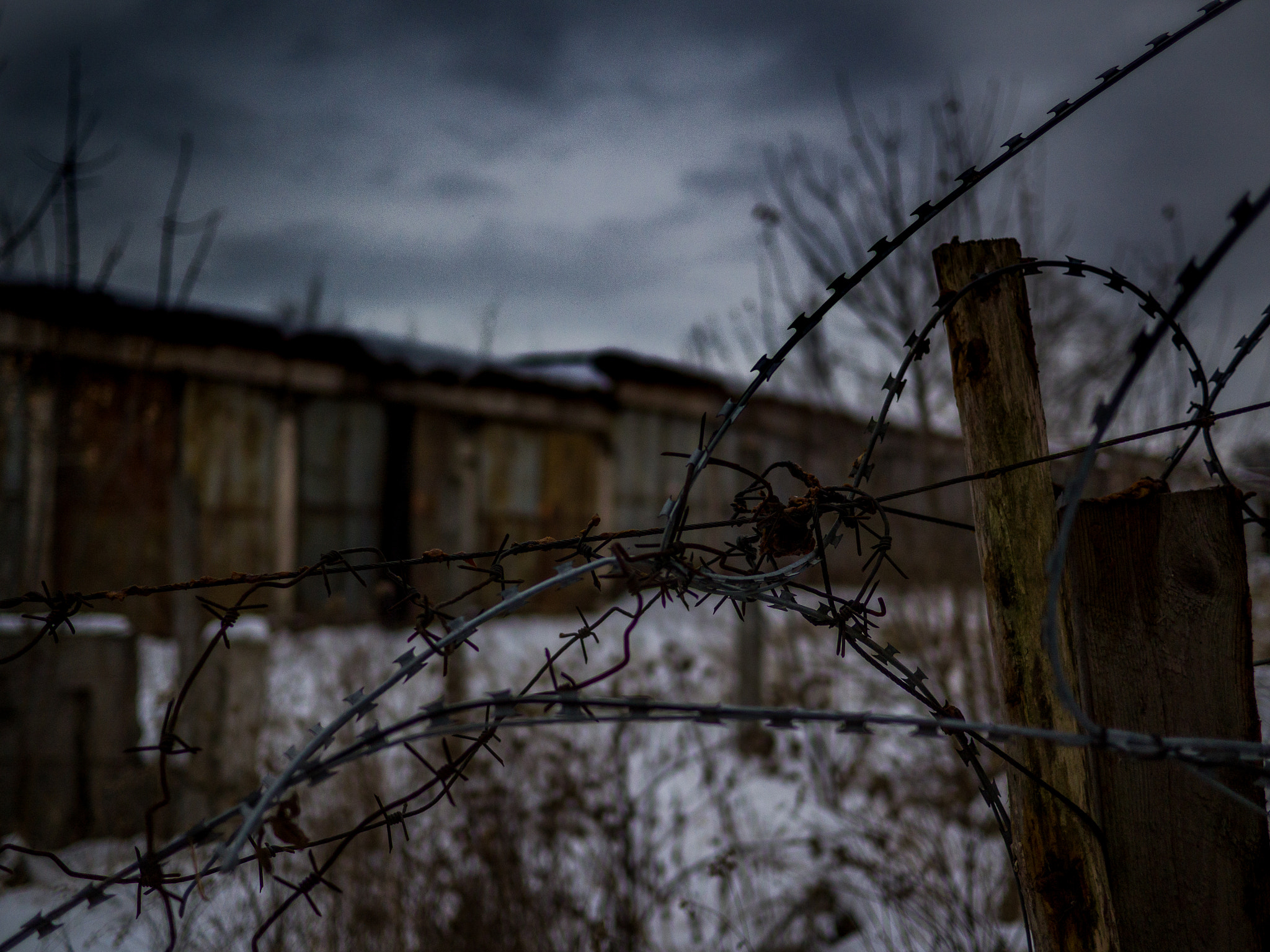 Olympus OM-D E-M10 + Panasonic Lumix G 20mm F1.7 ASPH sample photo. The lost freedom photography
