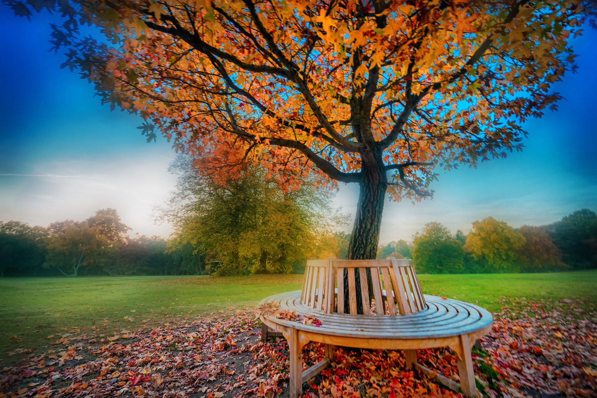 Sigma 8-16mm F4.5-5.6 DC HSM sample photo. Enchanted autumn photography