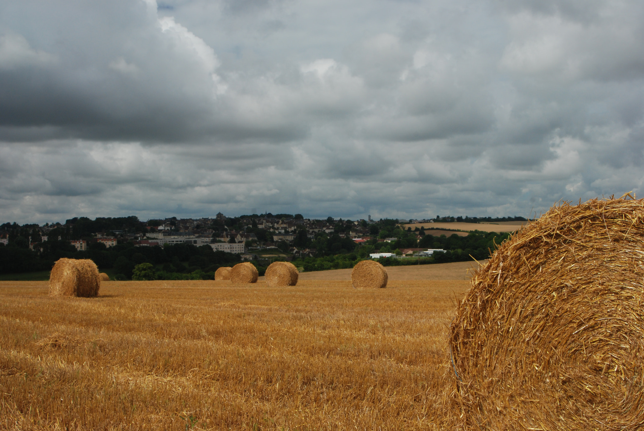 AF Zoom-Nikkor 28-80mm f/3.5-5.6D sample photo. Hay bales in a cloudy morning photography