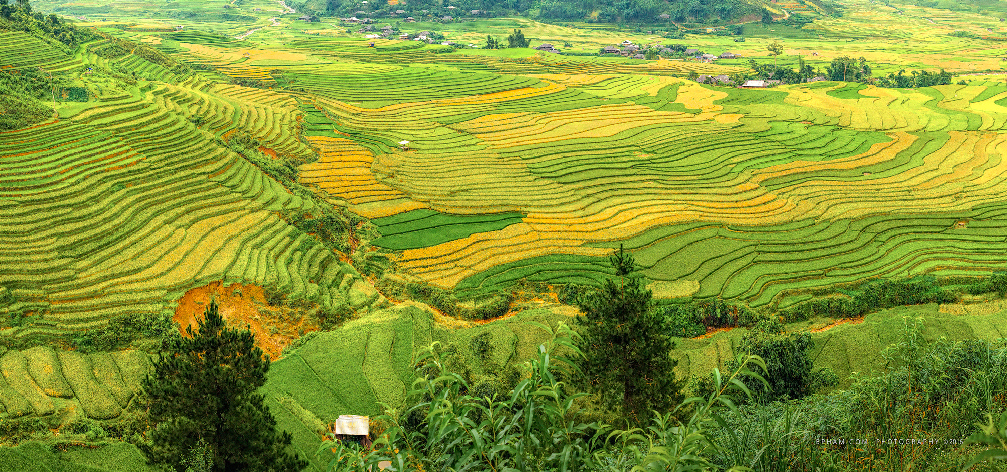 Nikon D800E sample photo. Rice terraces at mu cang chai, vietnam photography